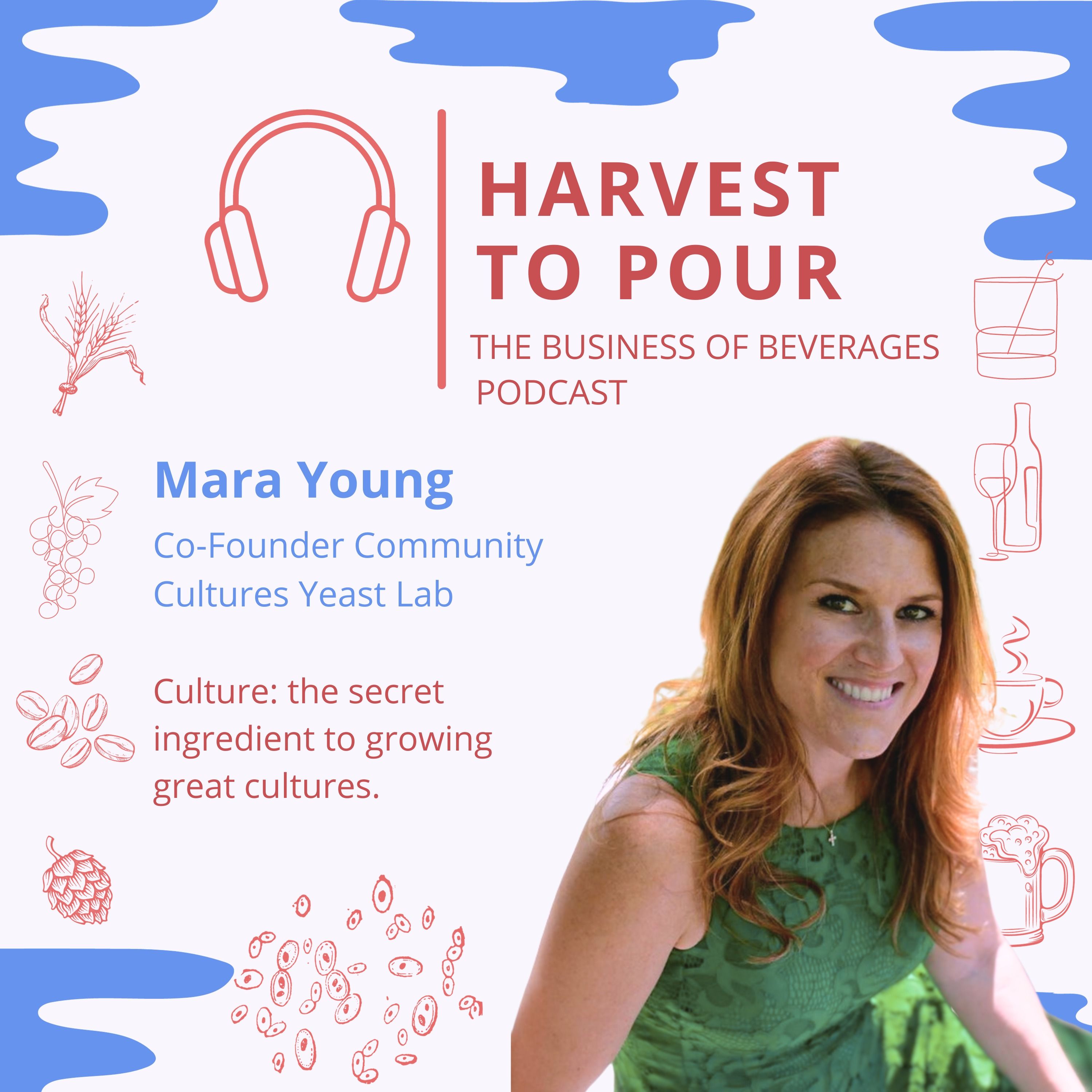 Mara Young of Community Cultures: The secret ingredient to growing great cultures. episode artwork