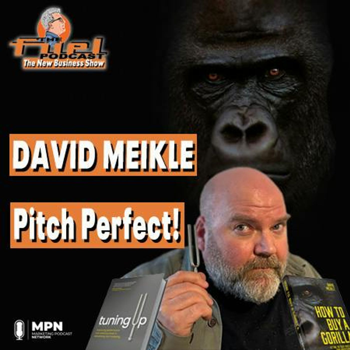 David Meikle: Pitch Perfect