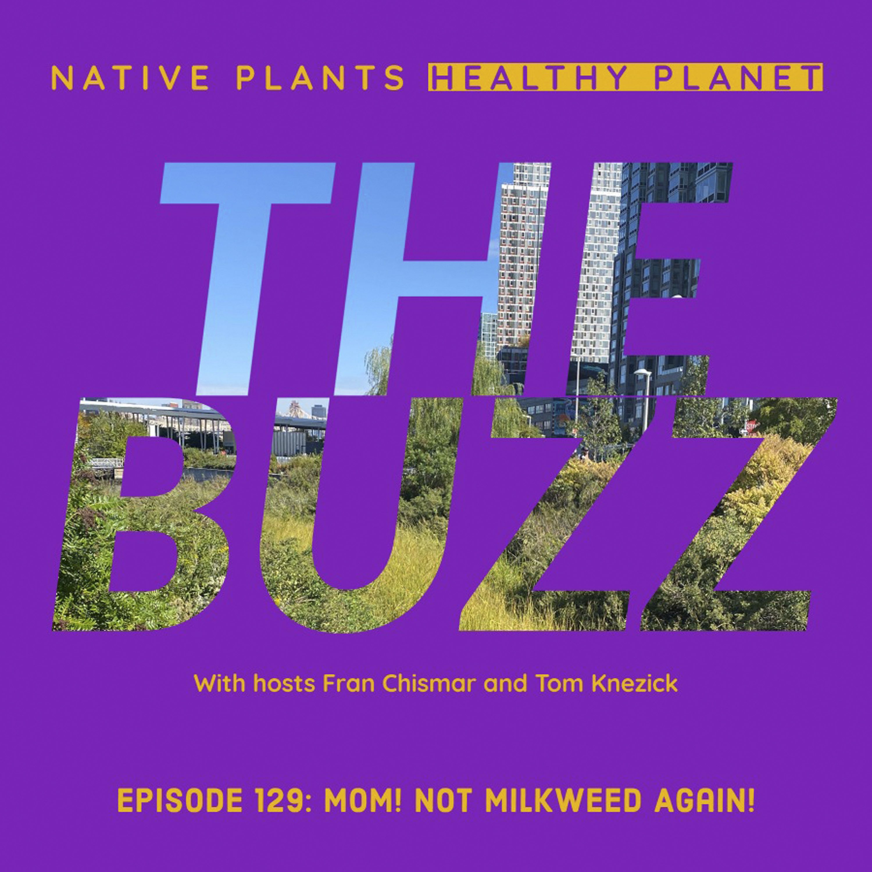 The Buzz -  Mom! Not Milkweed Again!