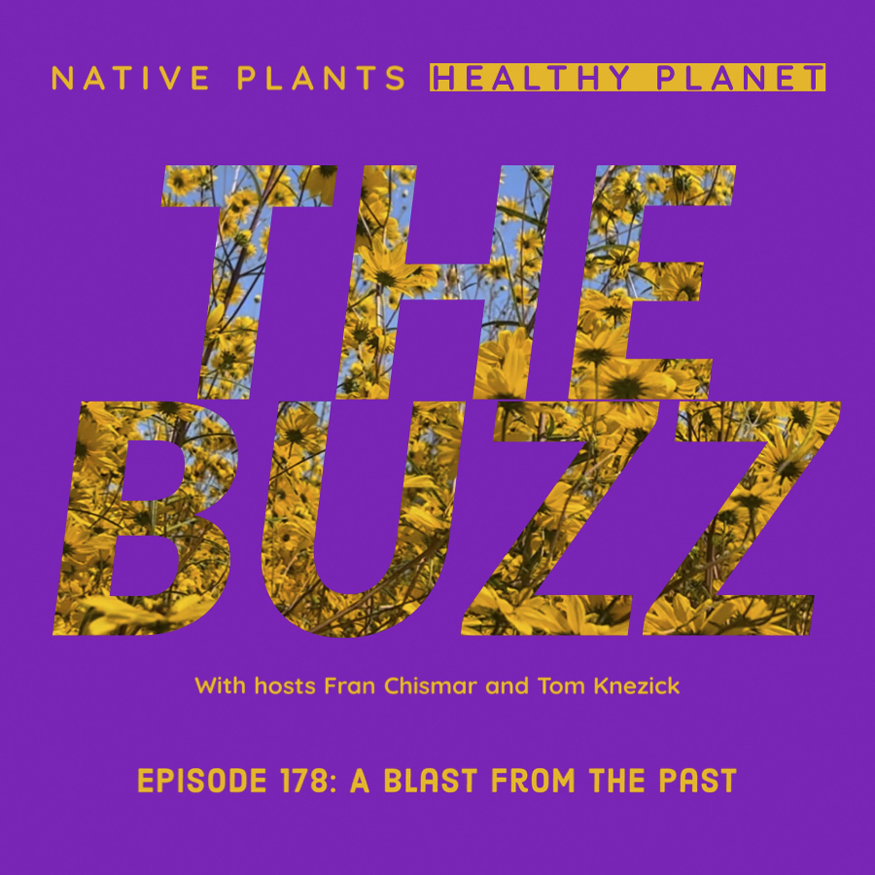 The Buzz - A Blast from the Past