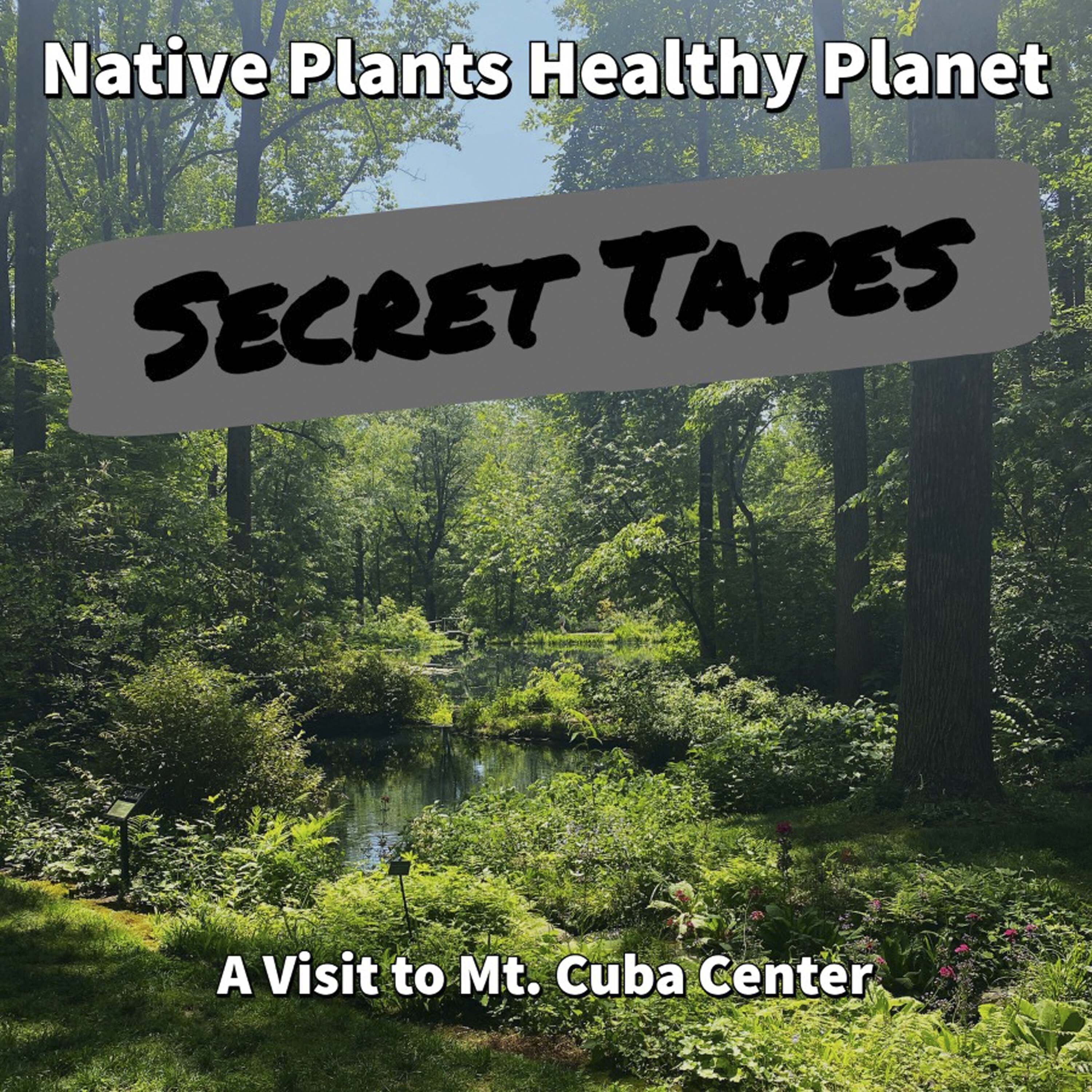 The Mt. Cuba Secret Tapes
