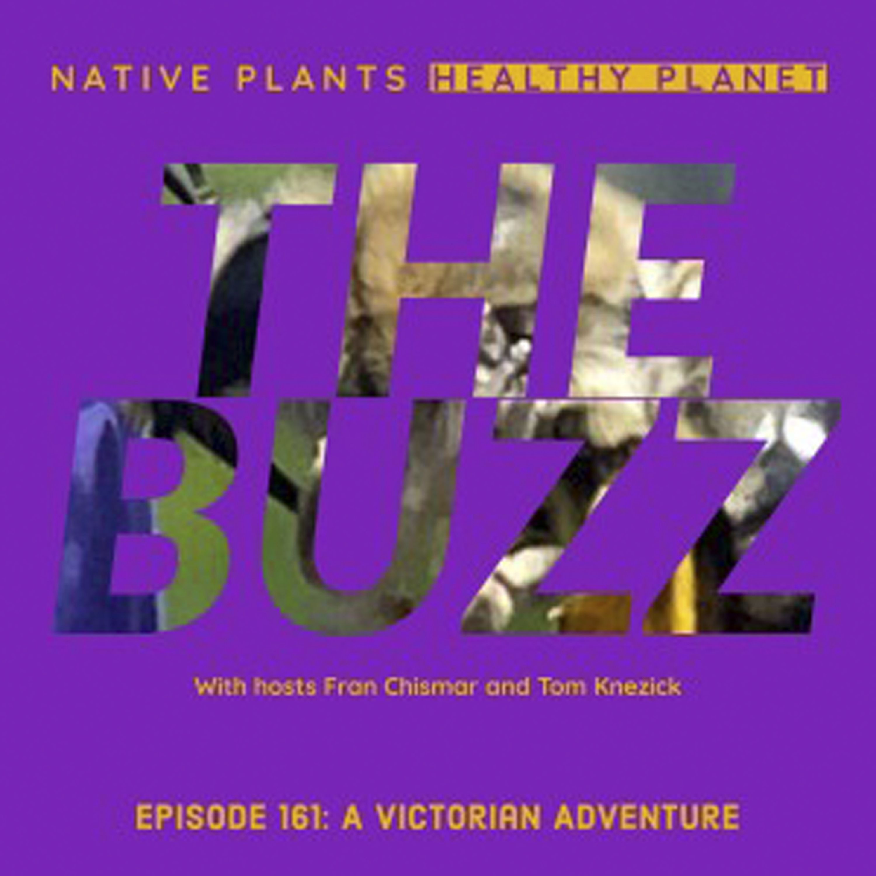 The Buzz - A Victorian Adventure