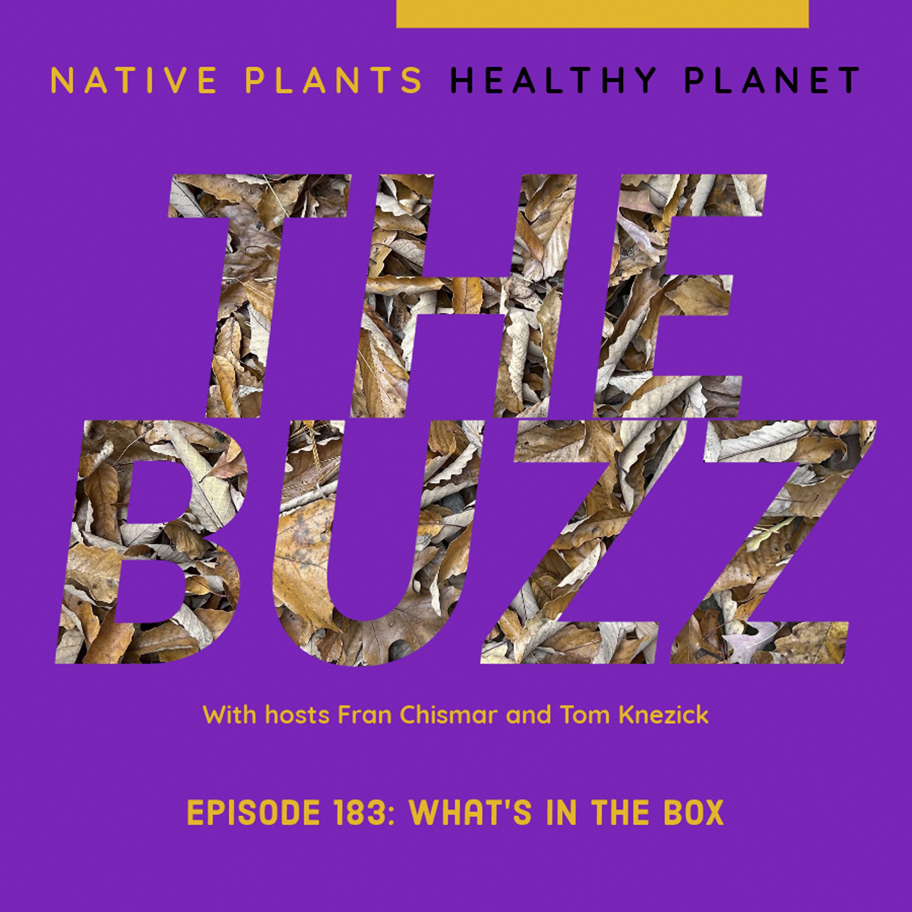 Native Plants, Healthy Planet