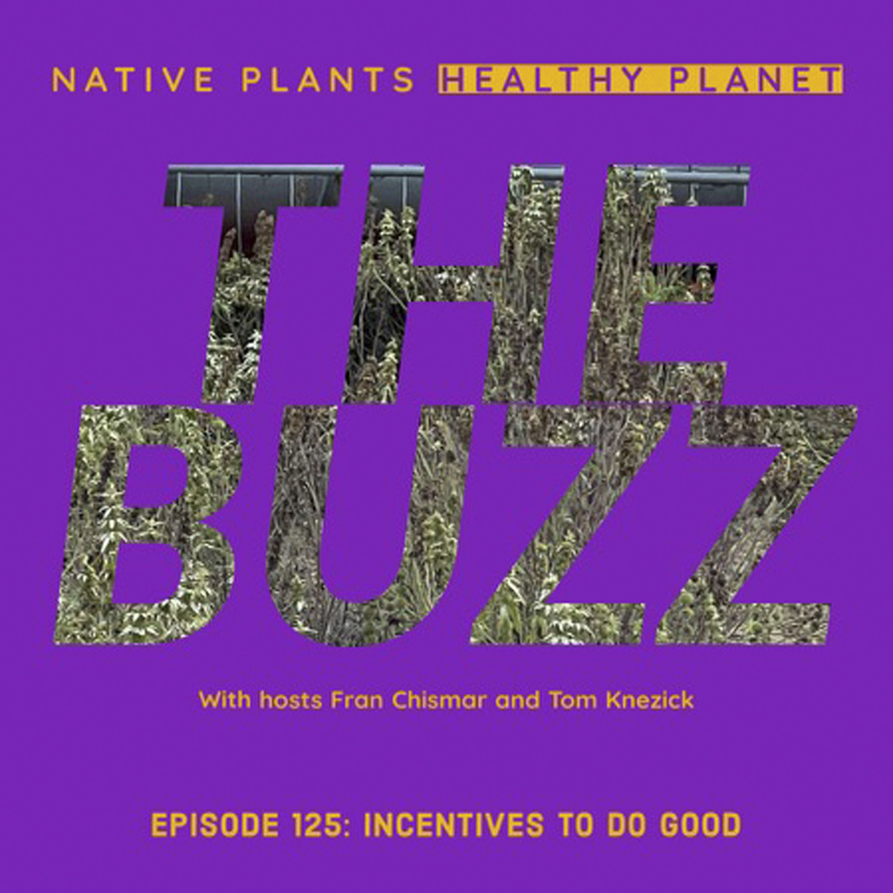 The Buzz - Incentives To Do Good