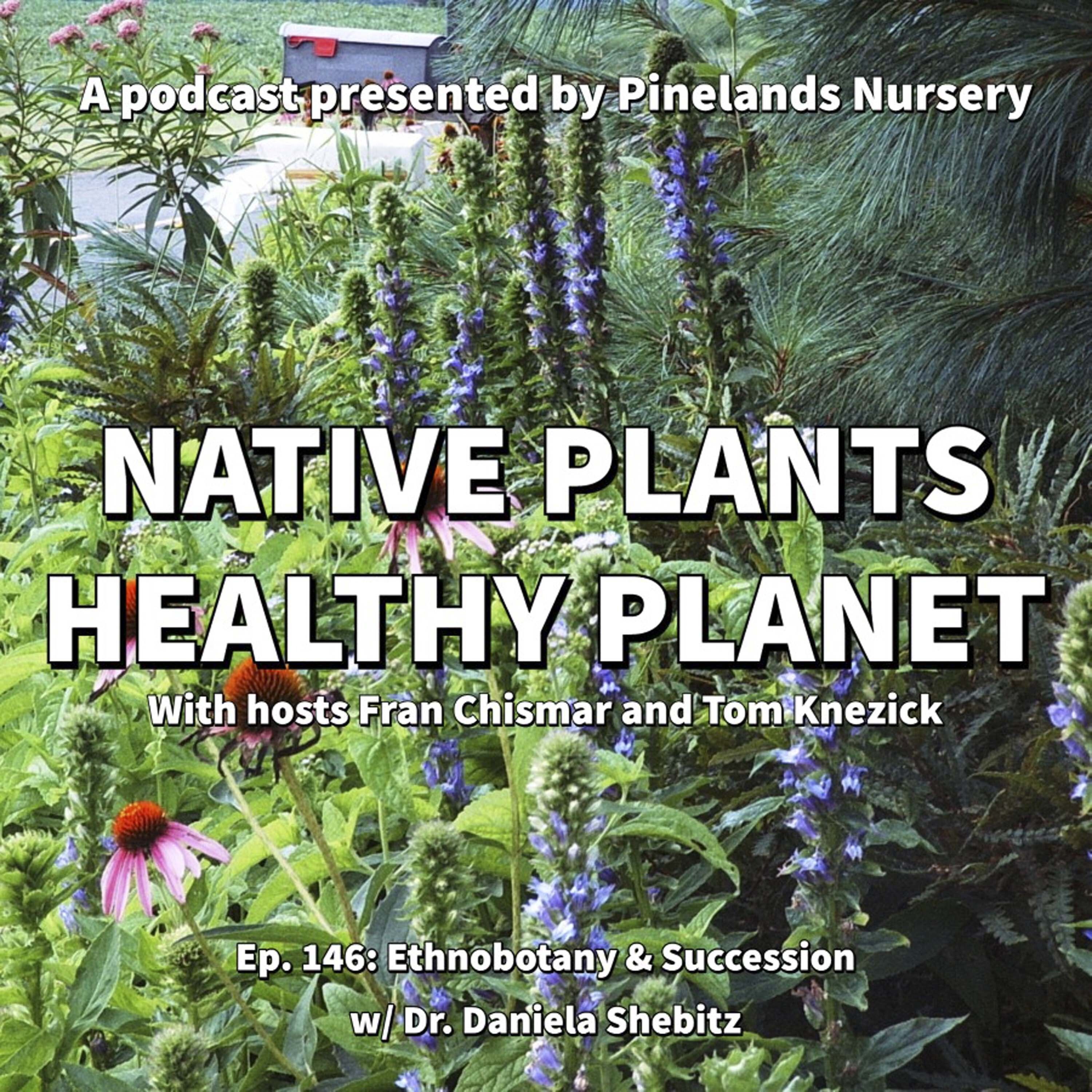 Ethnobotany and Succession with Dr. Daniela Shebitz