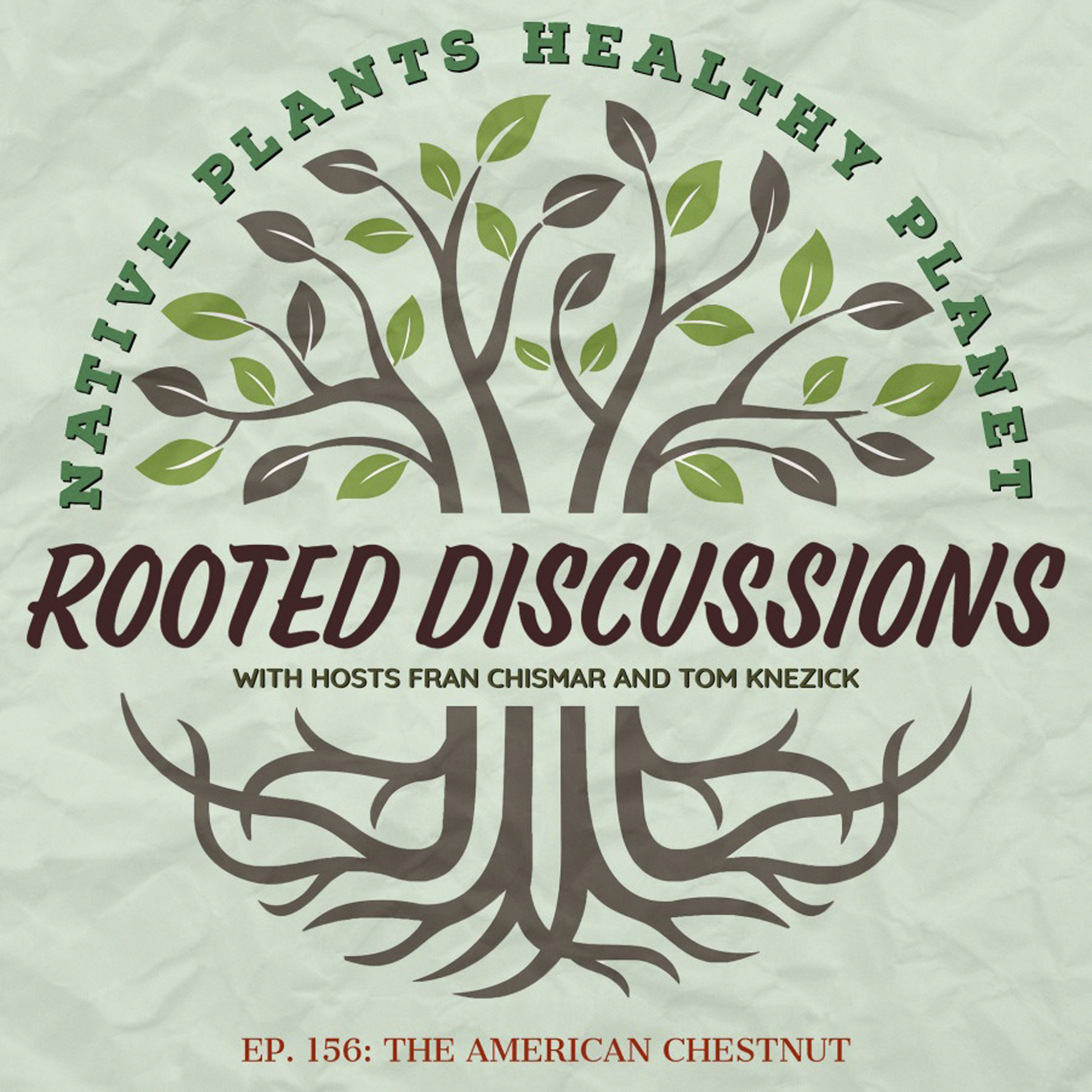 Rooted Discussions - The Demise and Resurgence of The American Chestnut