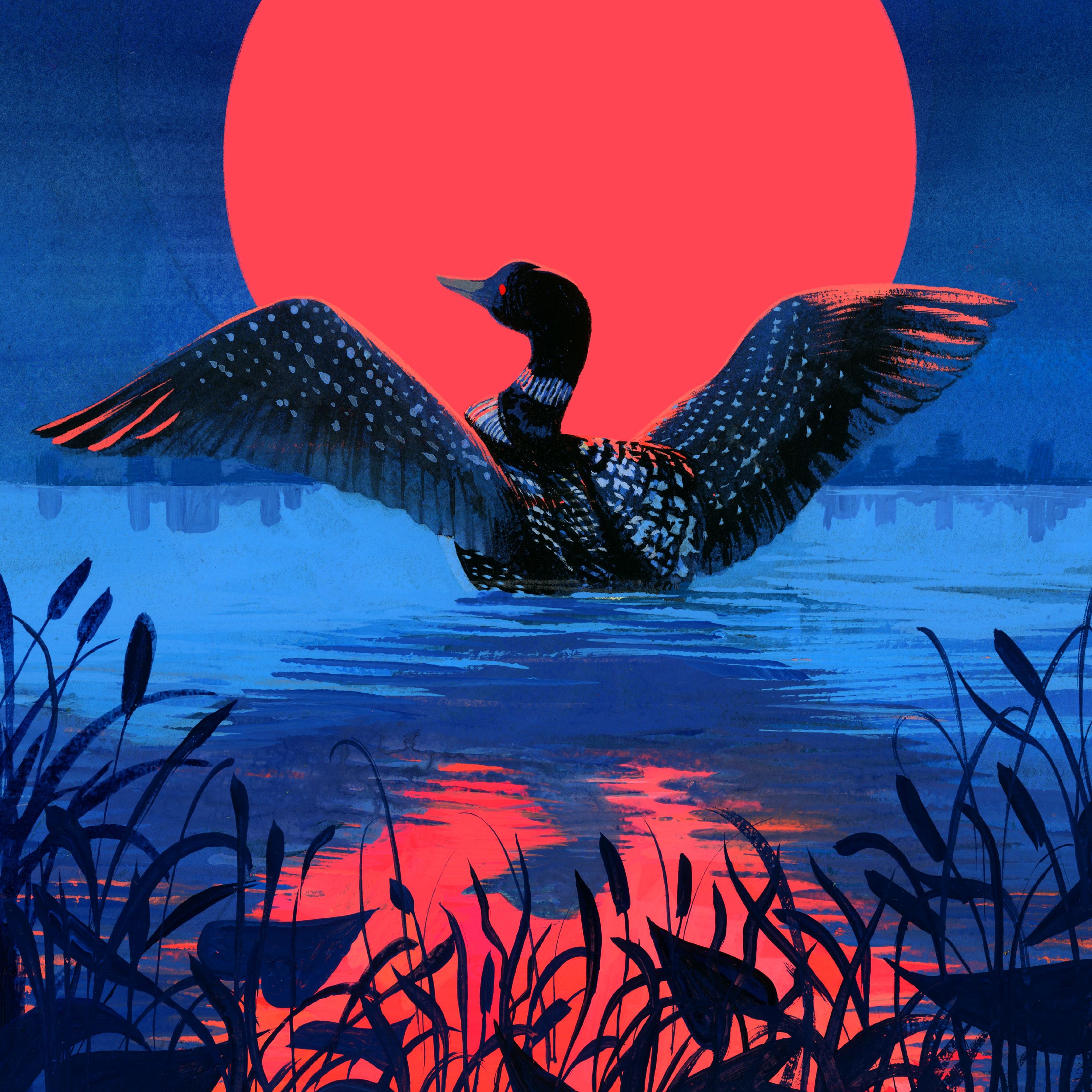 The Red-Eyed Mascot: Loon Resilience in Minnesota