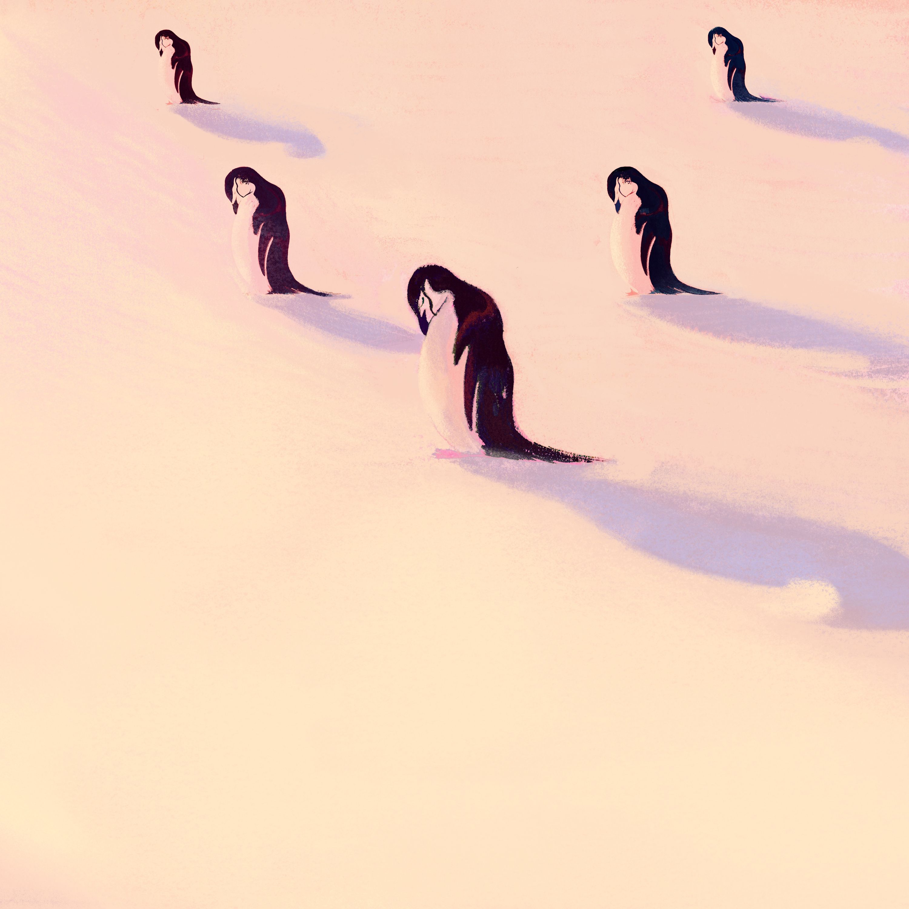 The Snoozer: Penguin Slackerzzz Rule