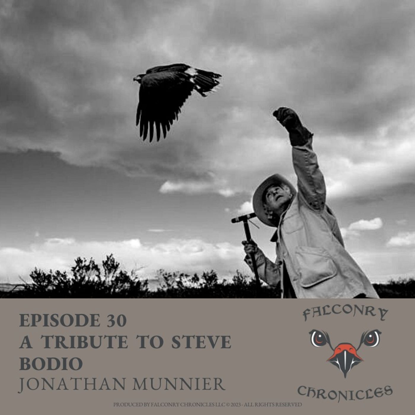 Falconry Chronicles Podcast
