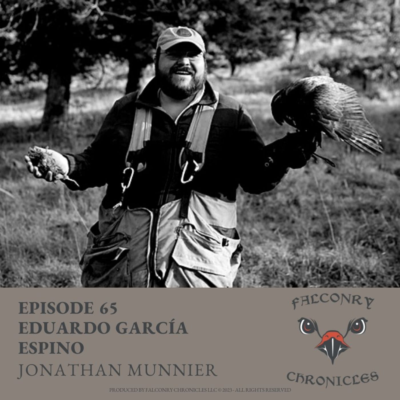 Falconry Chronicles Podcast