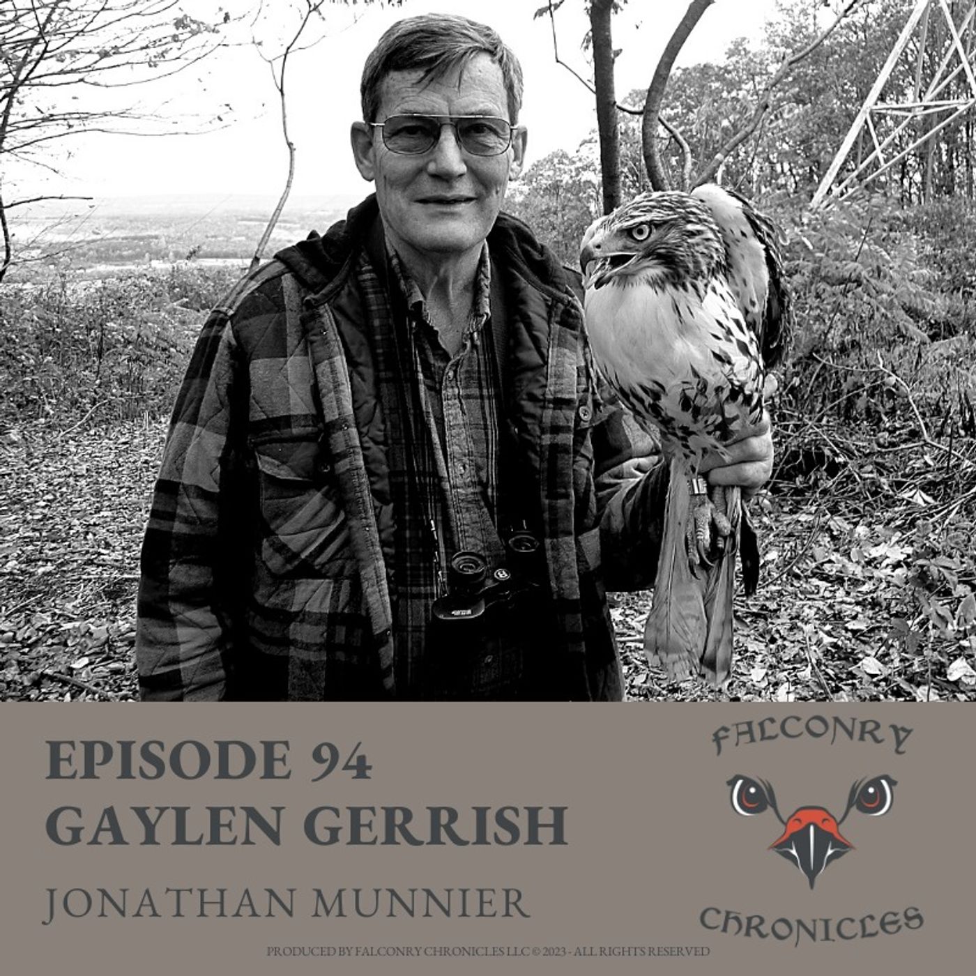 Falconry Chronicles Podcast