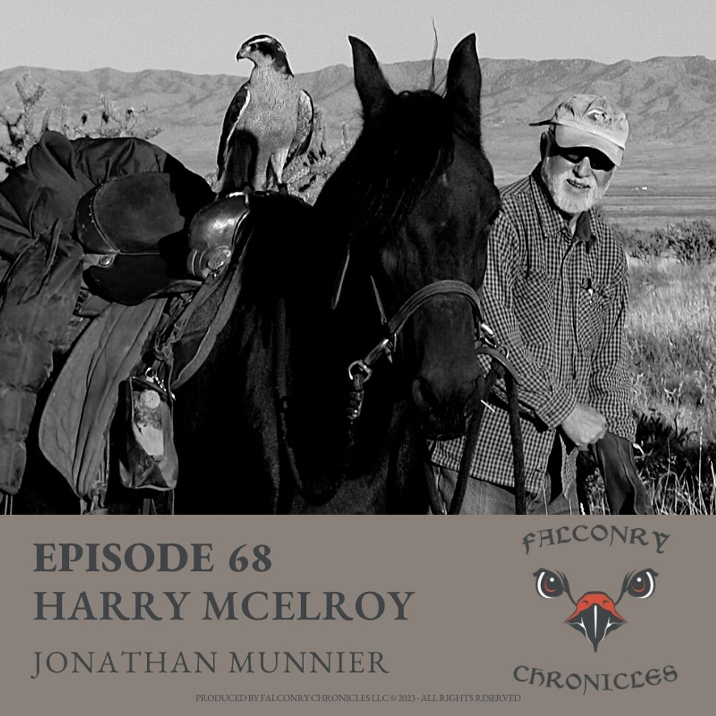 Falconry Chronicles Podcast