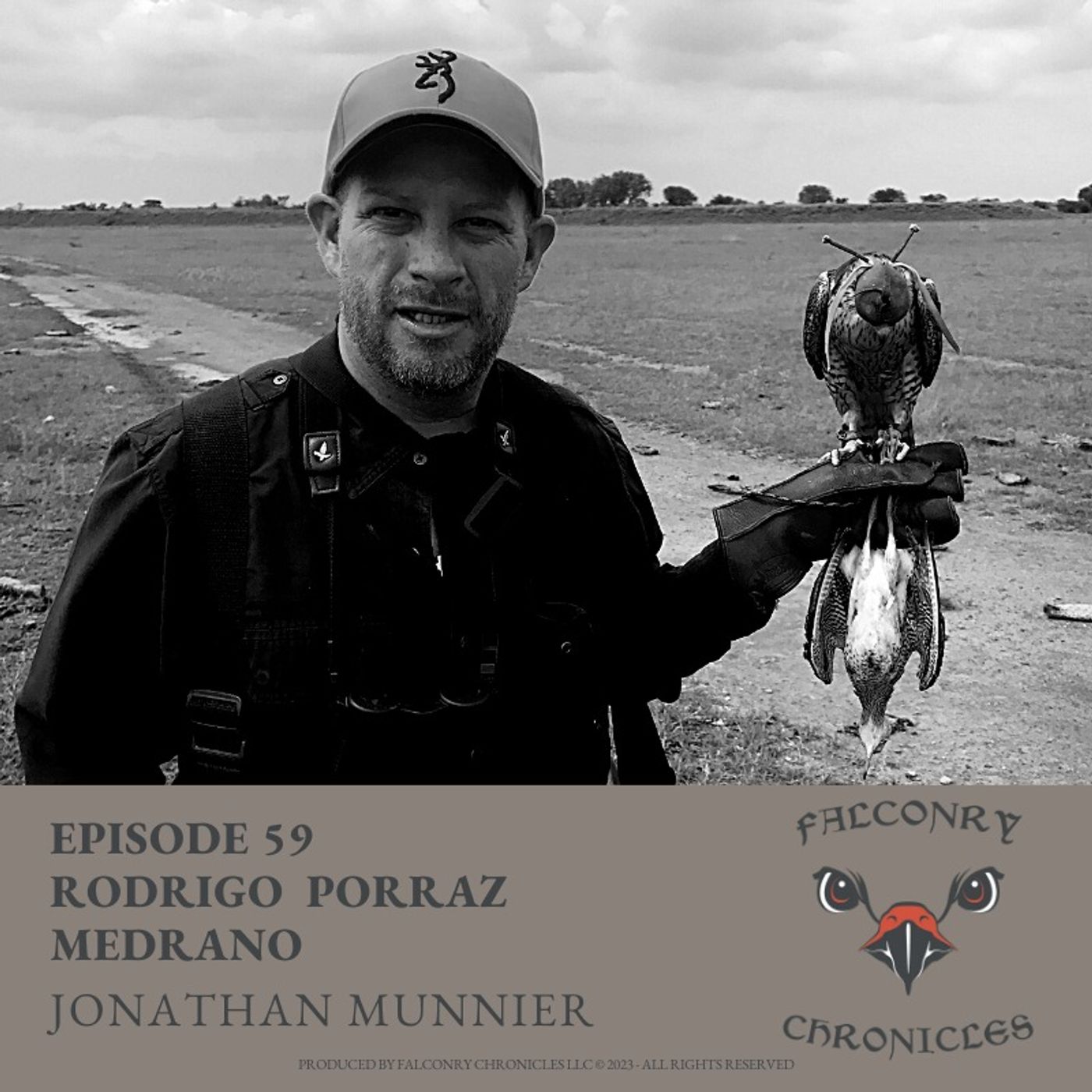 Falconry Chronicles Podcast