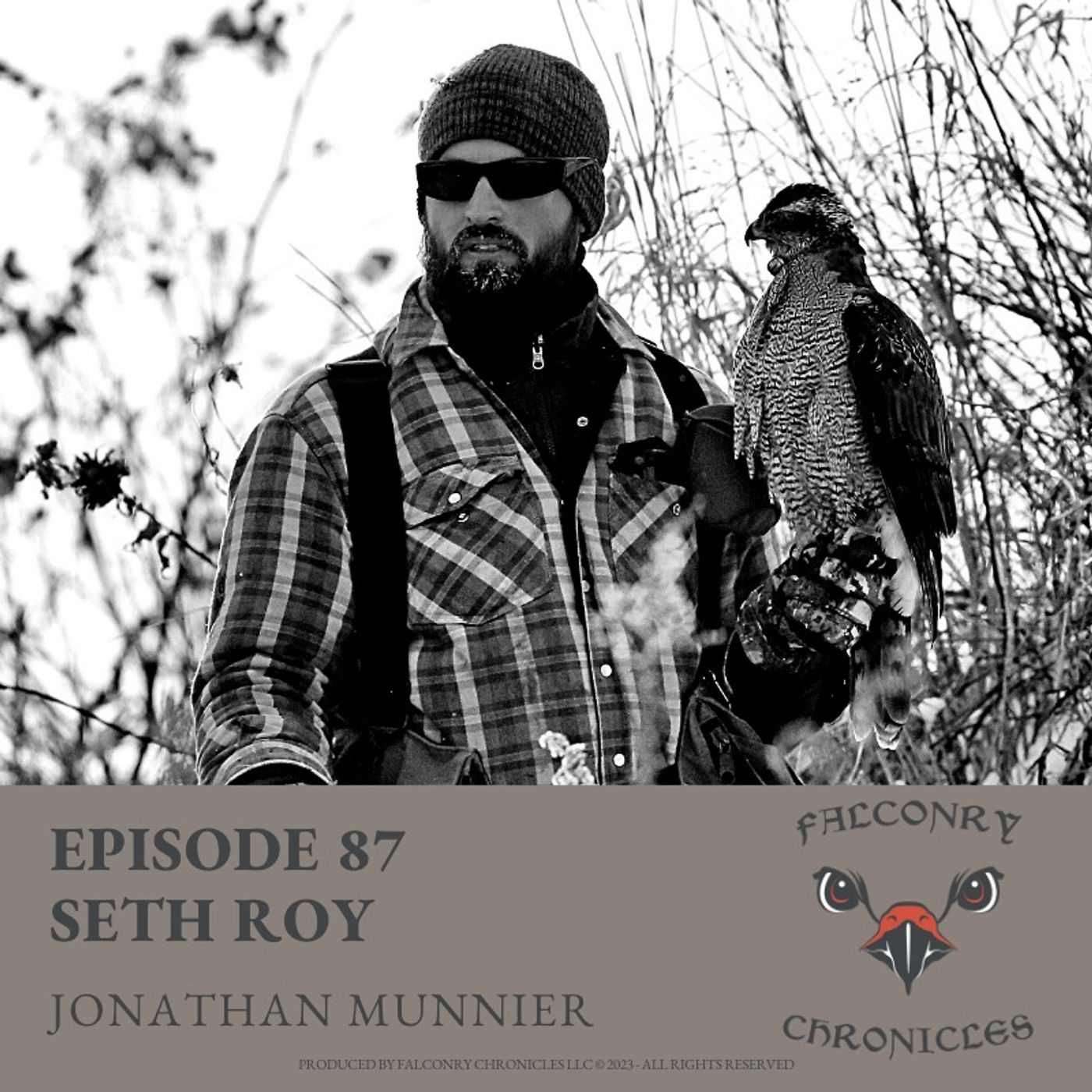 Falconry Chronicles Podcast