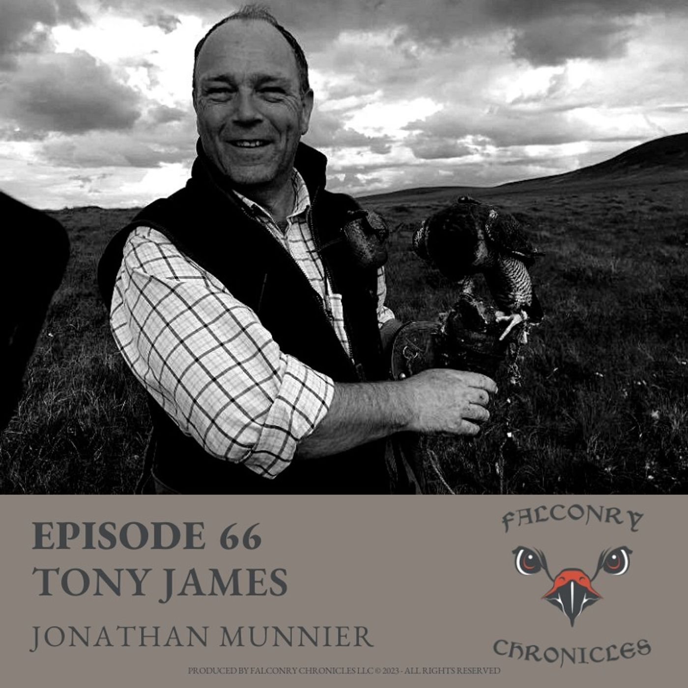 Falconry Chronicles Podcast