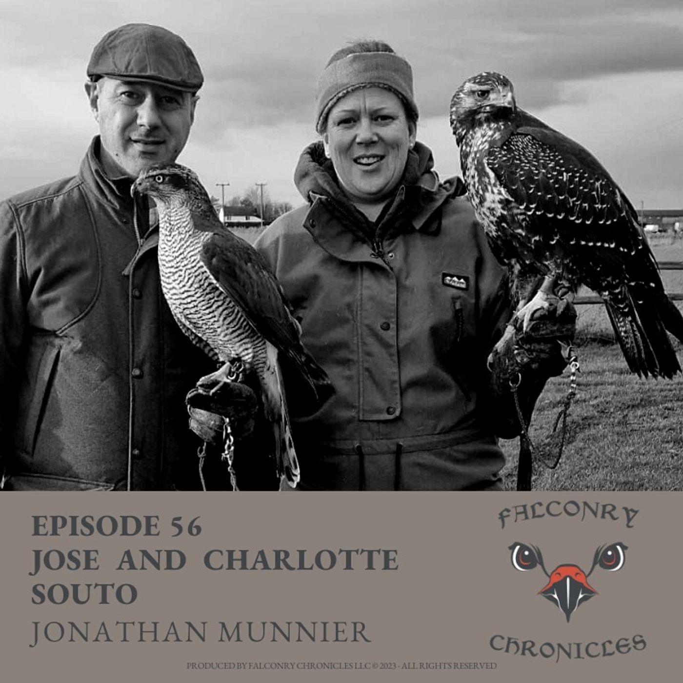 Falconry Chronicles Podcast