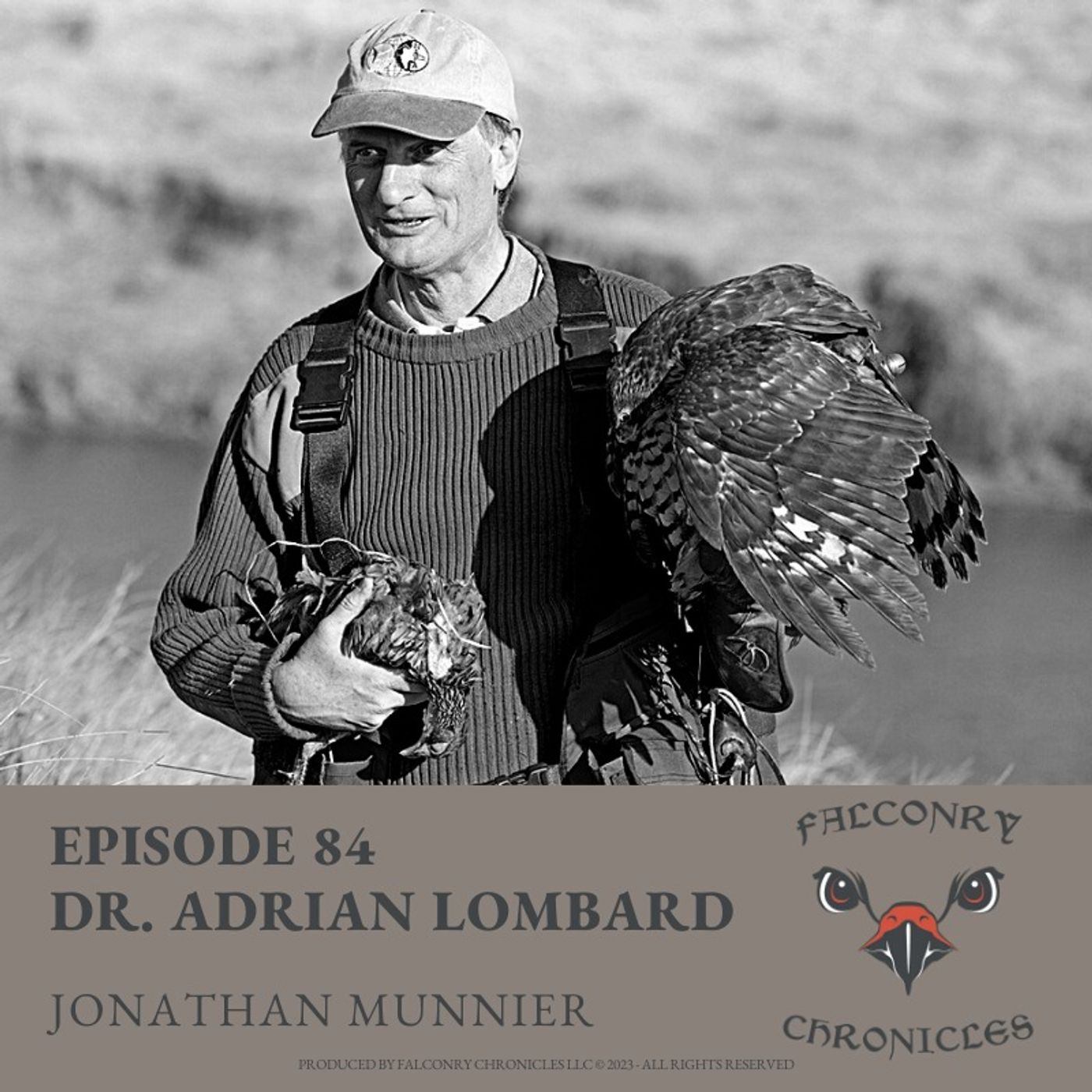 Falconry Chronicles Podcast