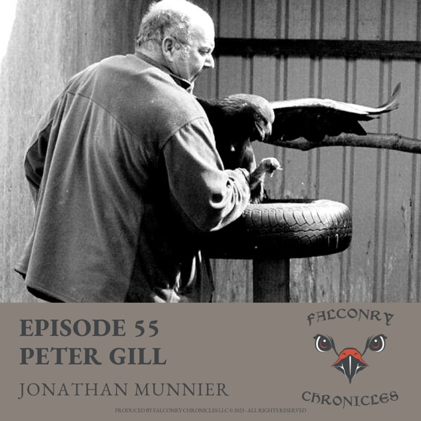 Falconry Chronicles Podcast