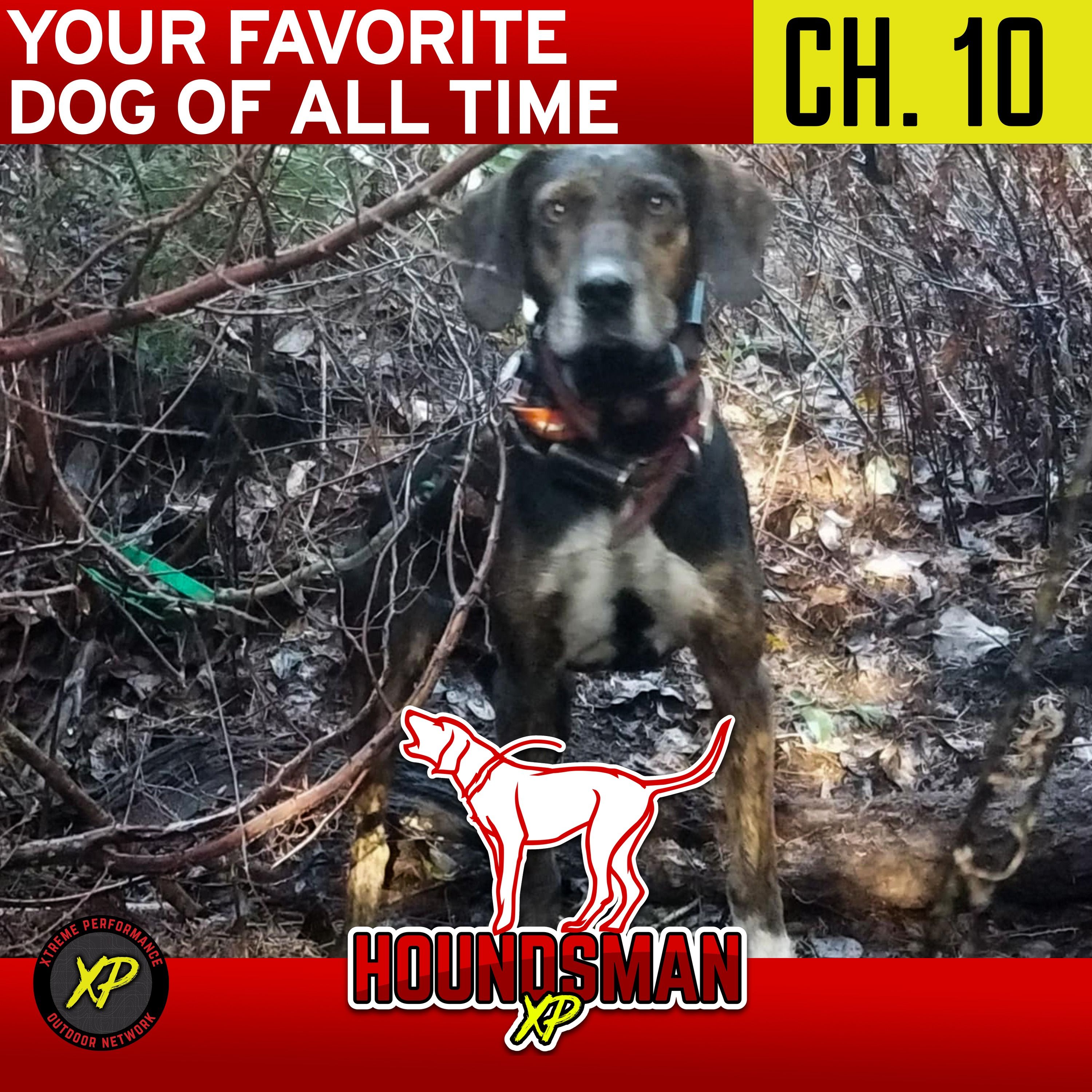 Your Favorite Dog Of All Time Chapter 10