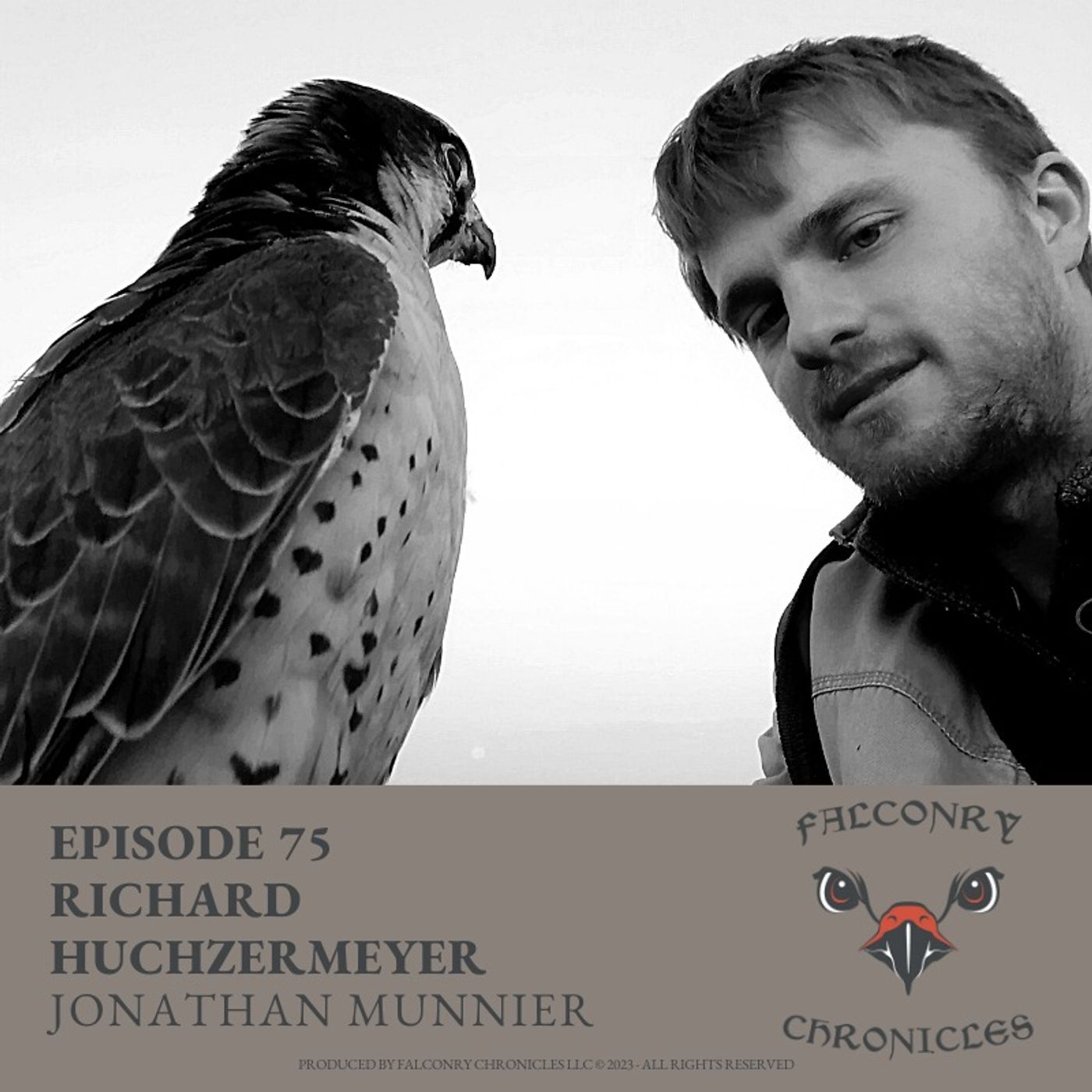 Falconry Chronicles Podcast