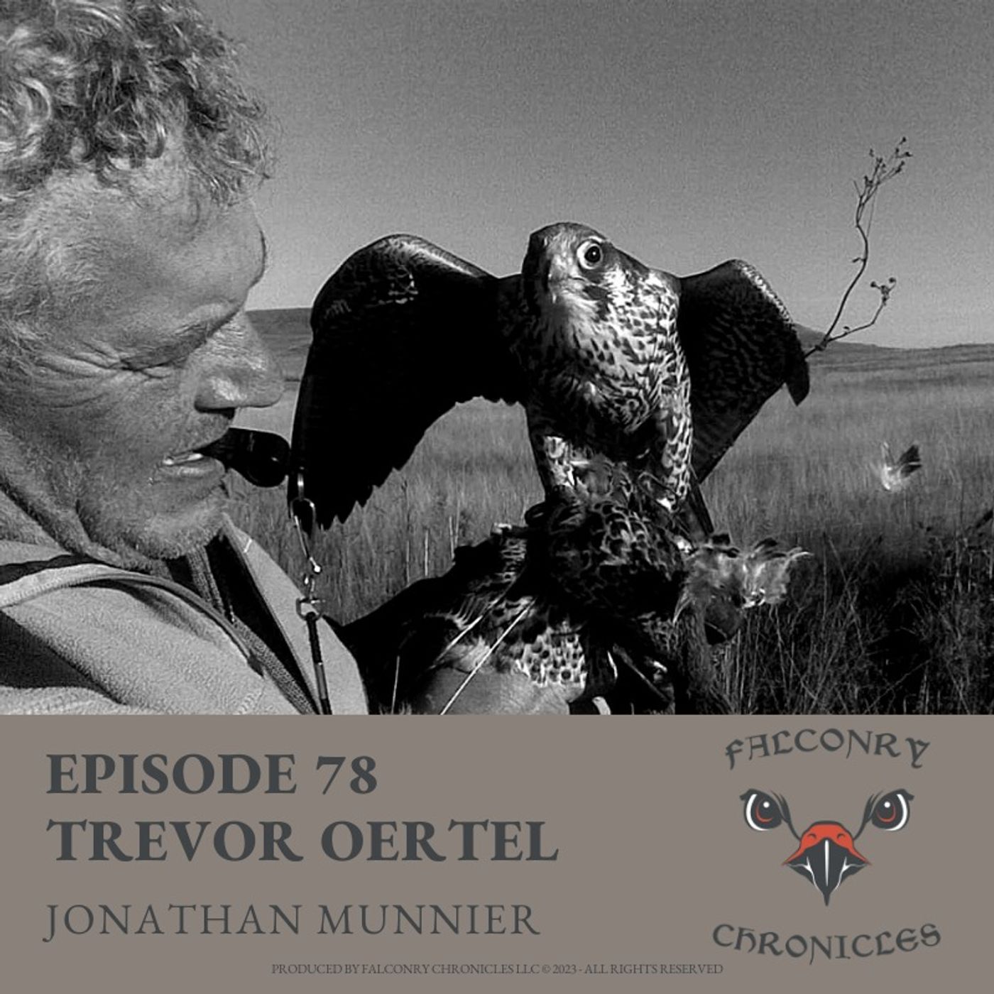 Falconry Chronicles Podcast