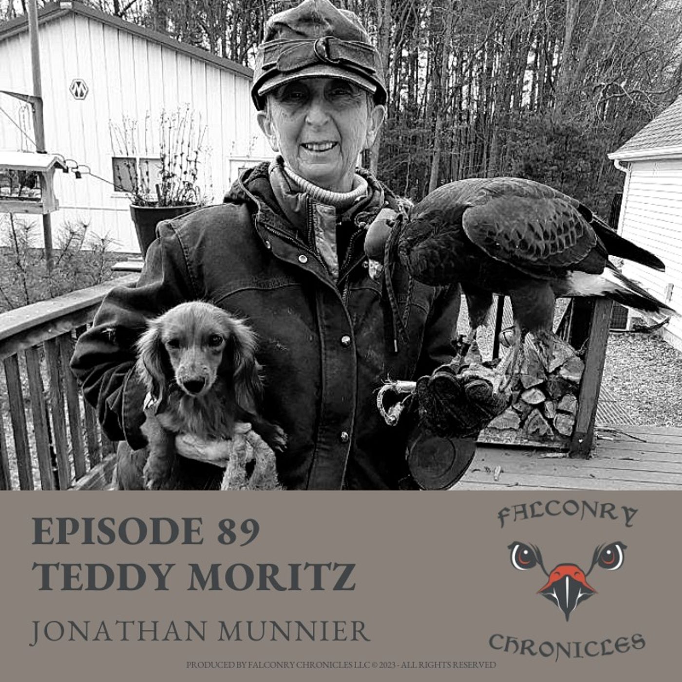 Falconry Chronicles Podcast