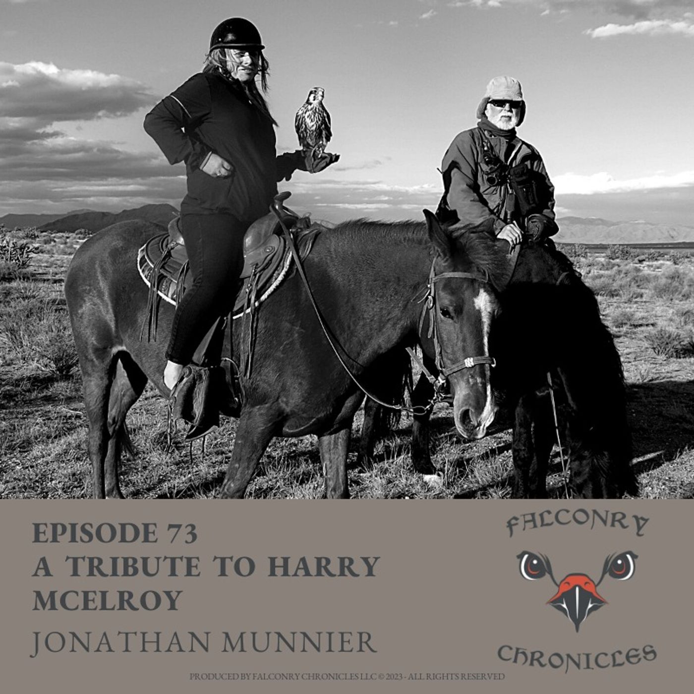 Falconry Chronicles Podcast
