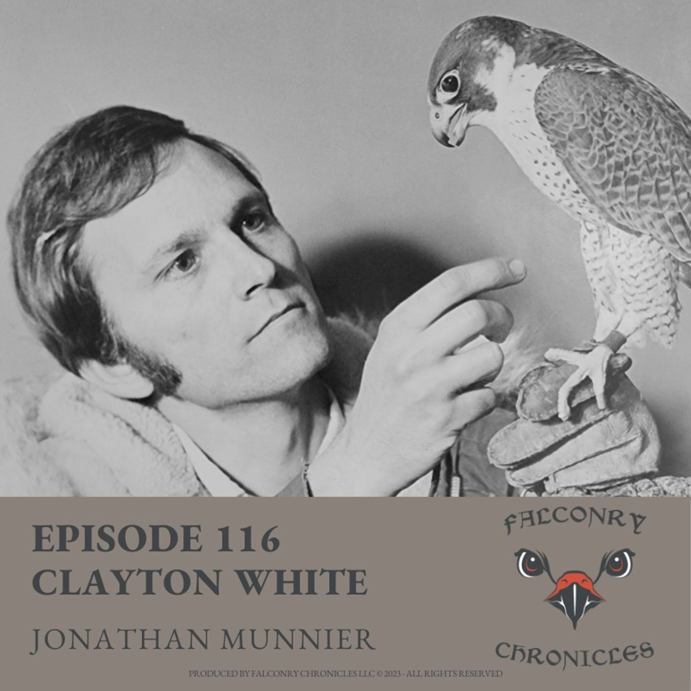 Falconry Chronicles Podcast