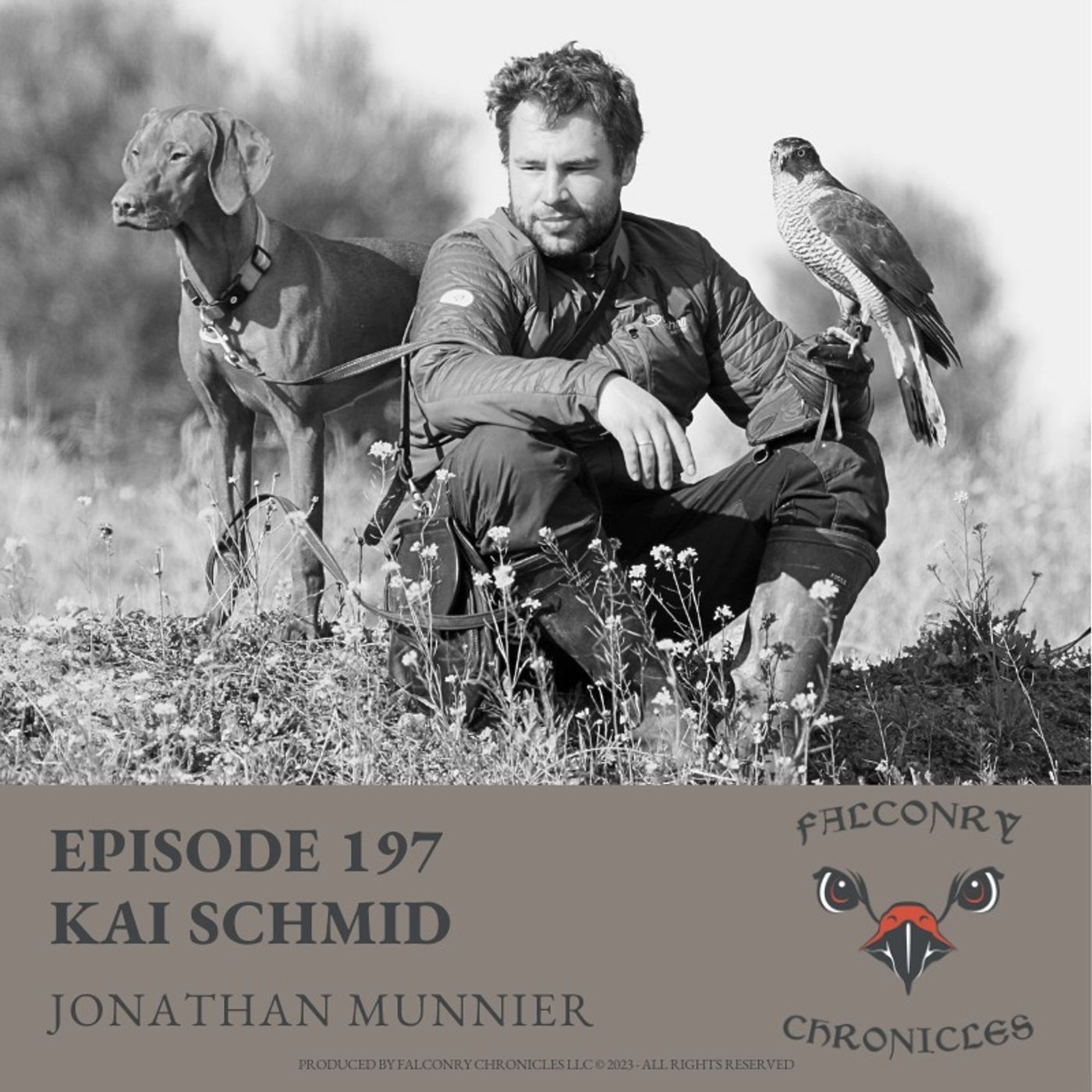Falconry Chronicles Episode 197