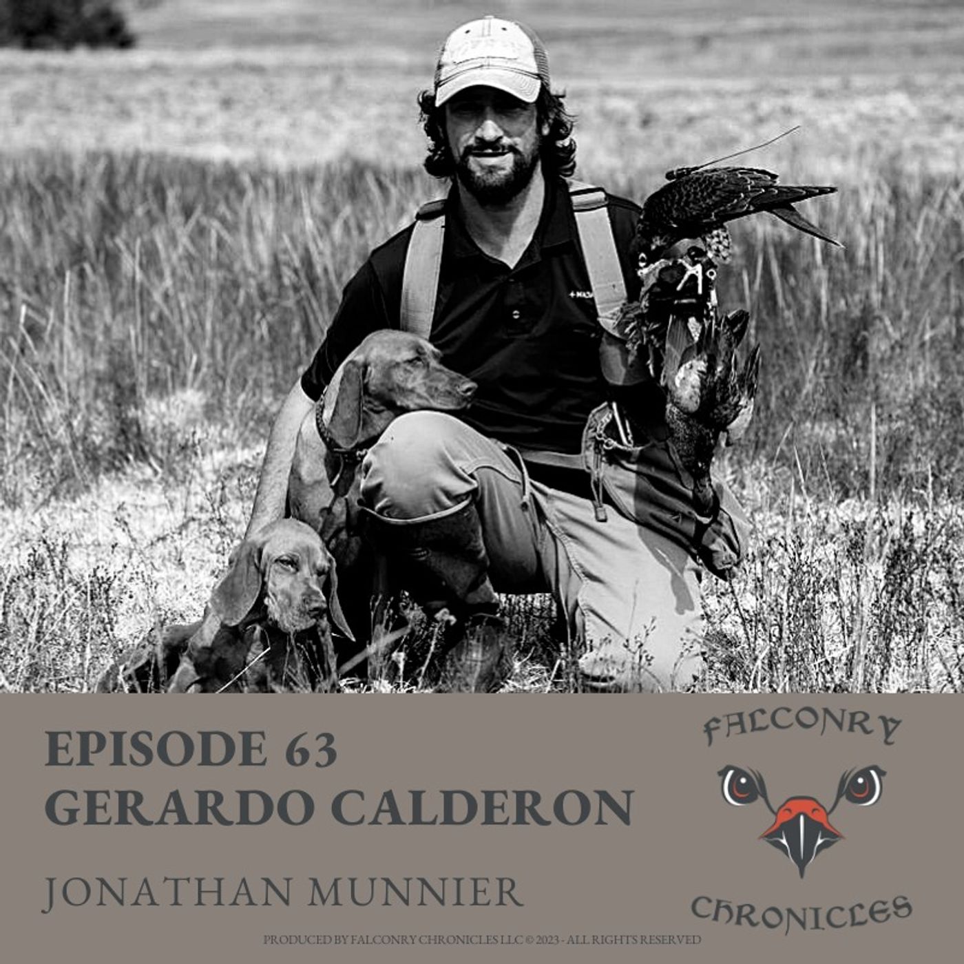 Falconry Chronicles Podcast