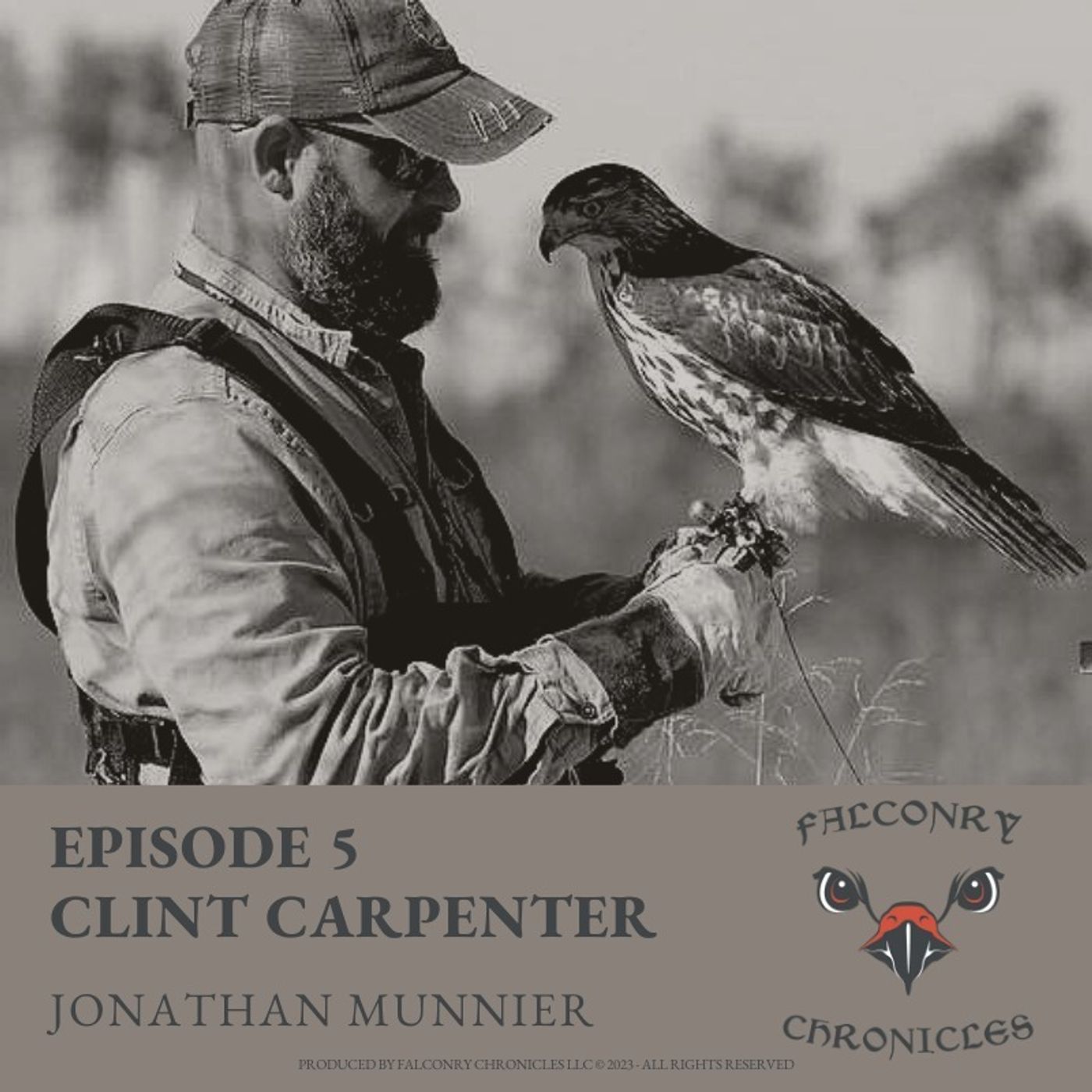 Falconry Chronicles Podcast