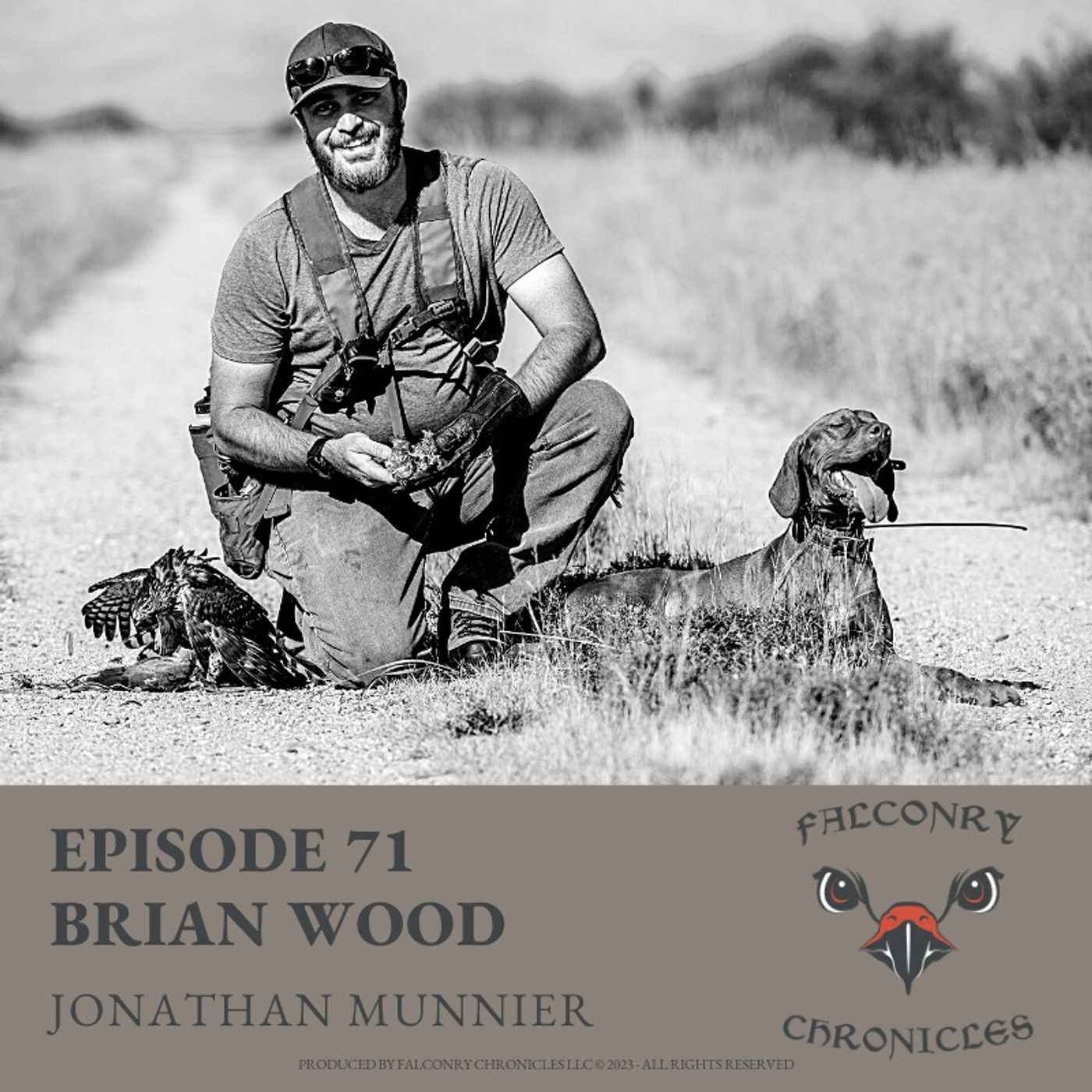 Falconry Chronicles Podcast