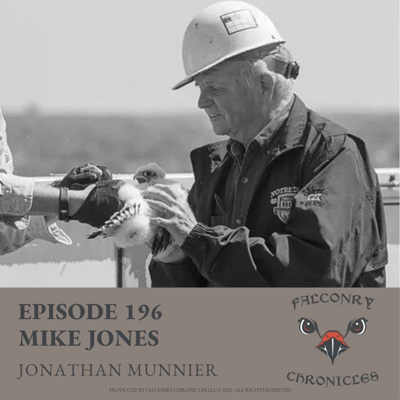 Falconry Chronicles Episode 196: Mi