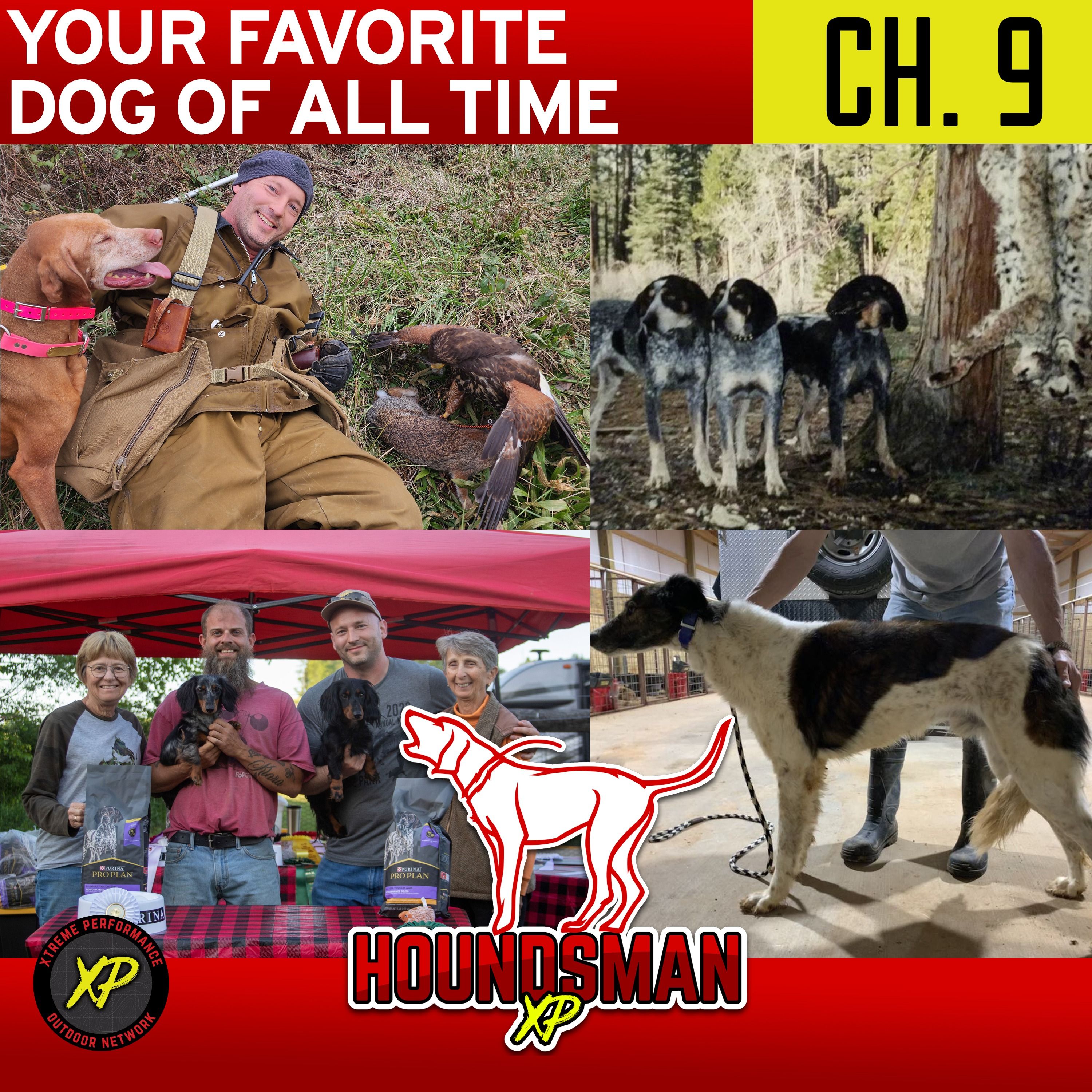 Your Favorite Dog Of All Time Chapter 9