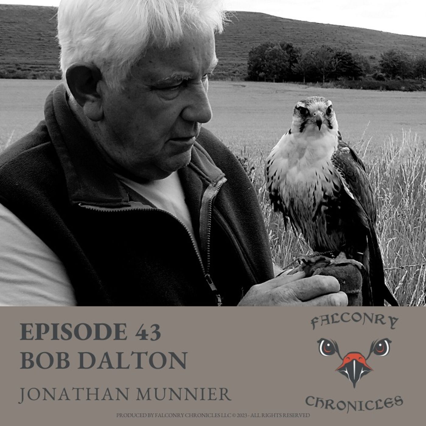 Falconry Chronicles Podcast