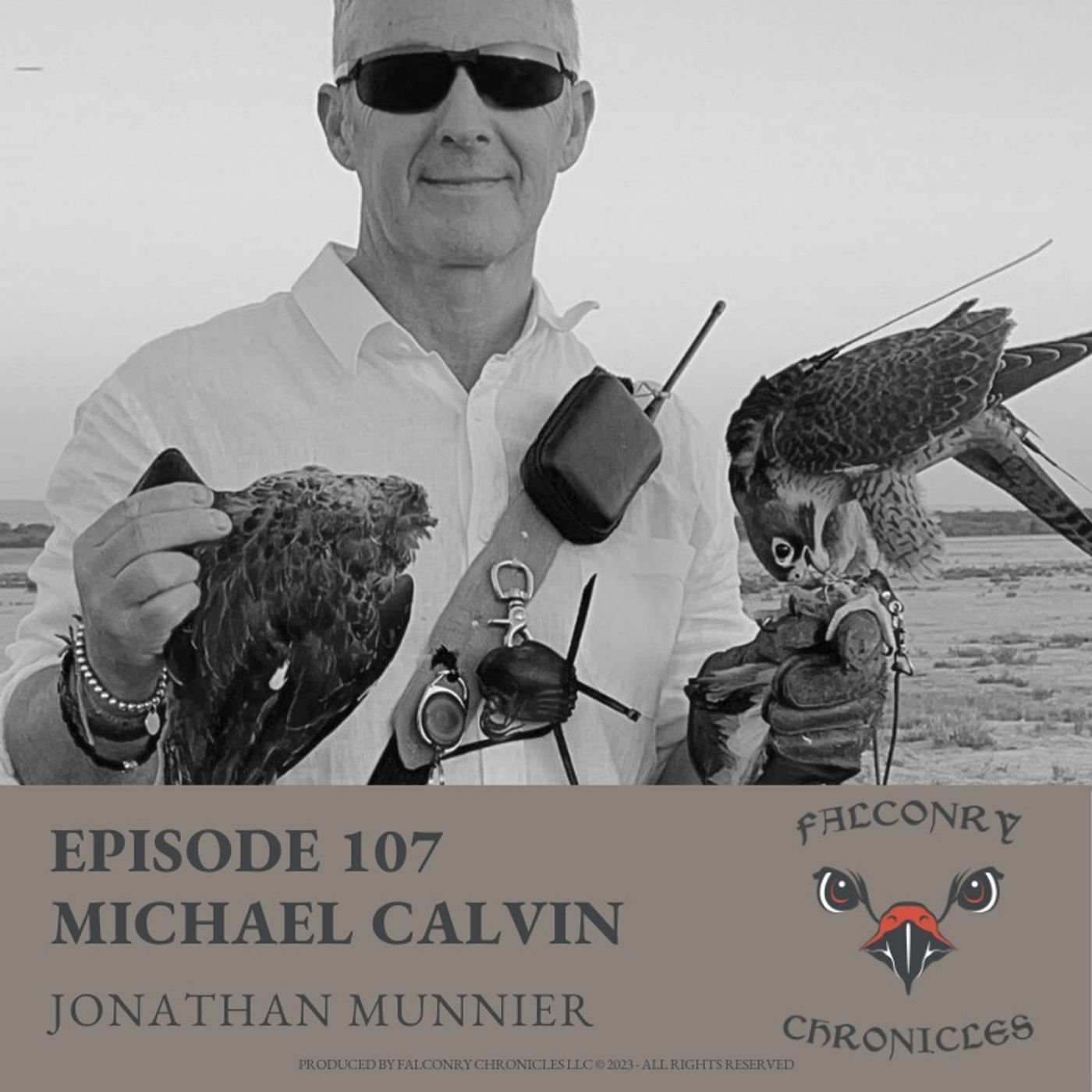 Falconry Chronicles Podcast