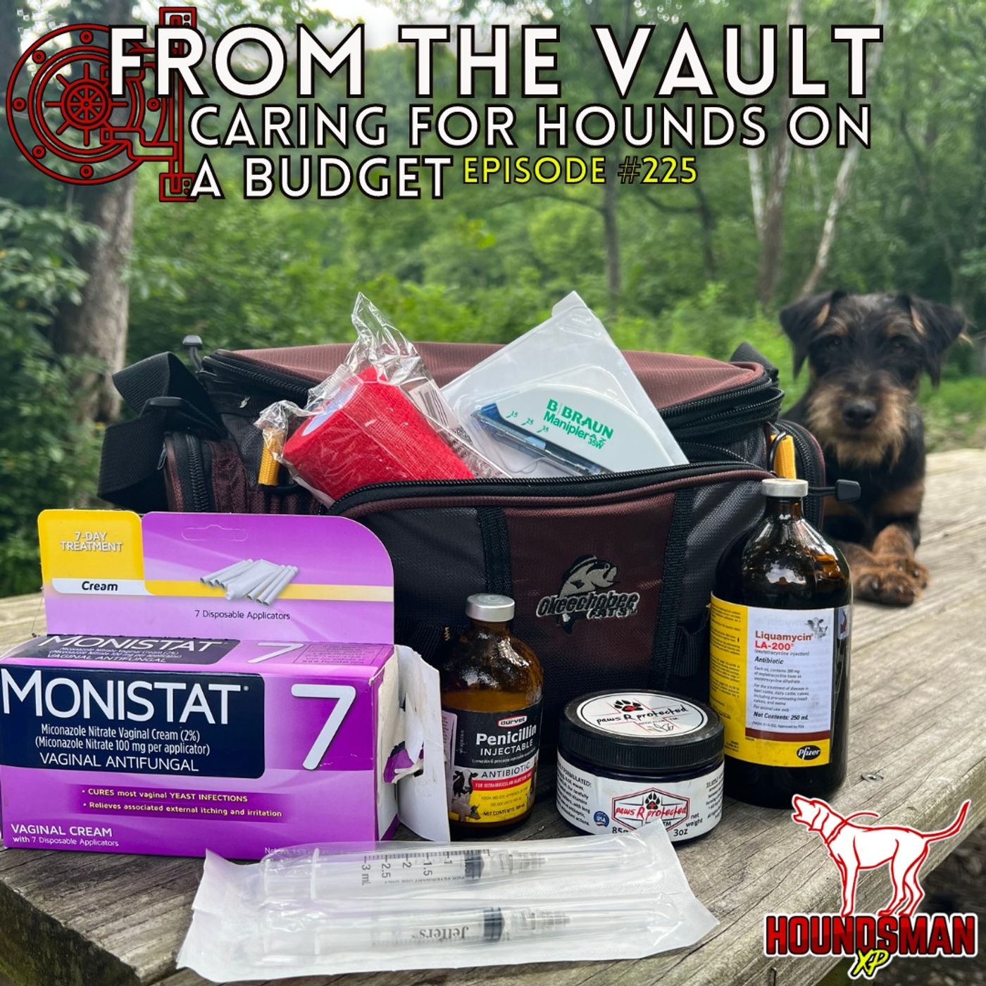 Caring For Hounds on a Budget pt 2