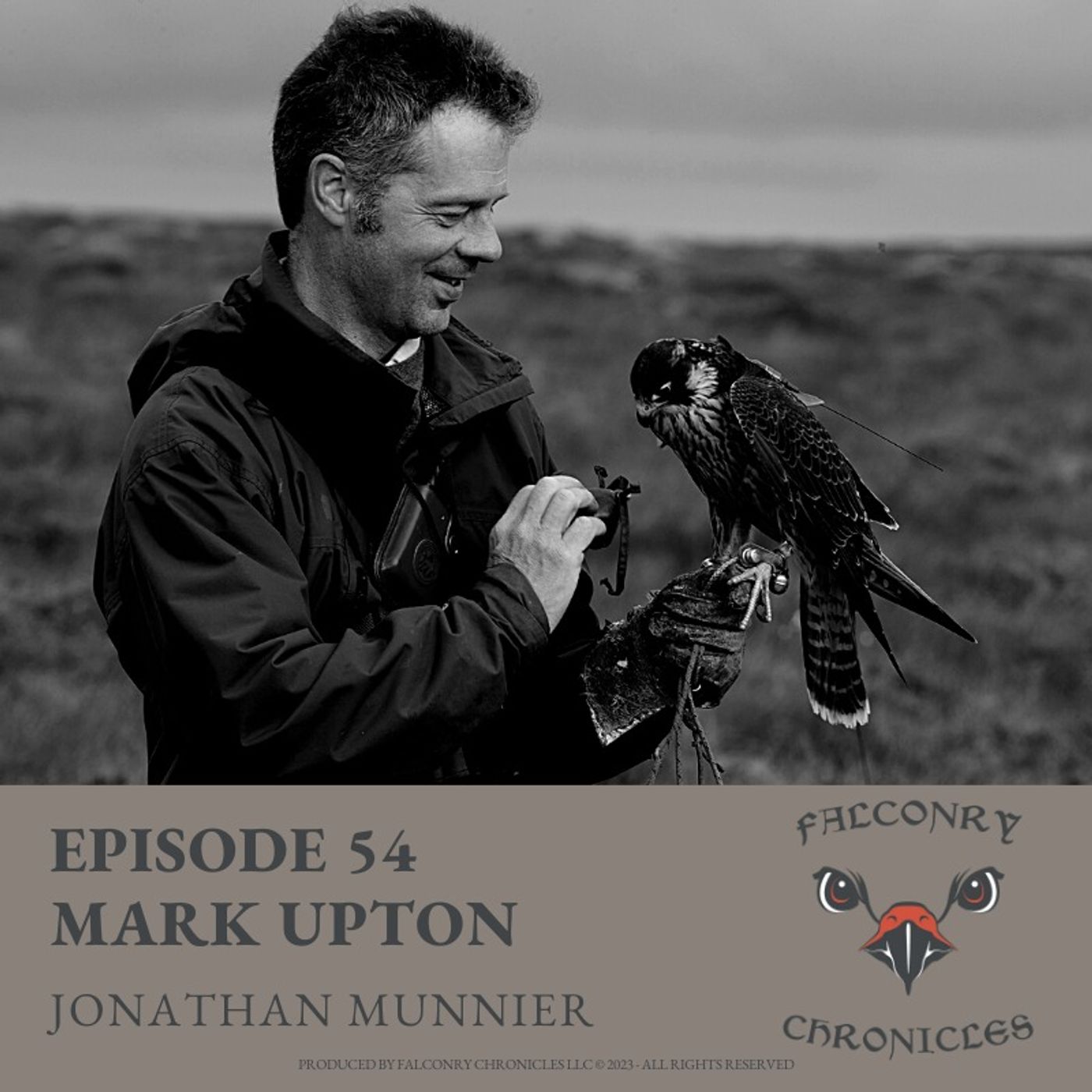 Falconry Chronicles Podcast
