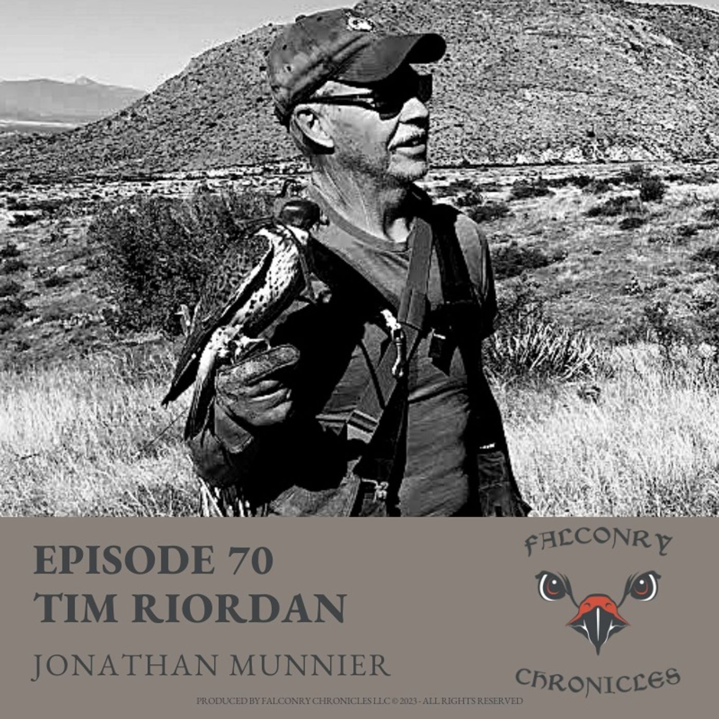 Falconry Chronicles Podcast