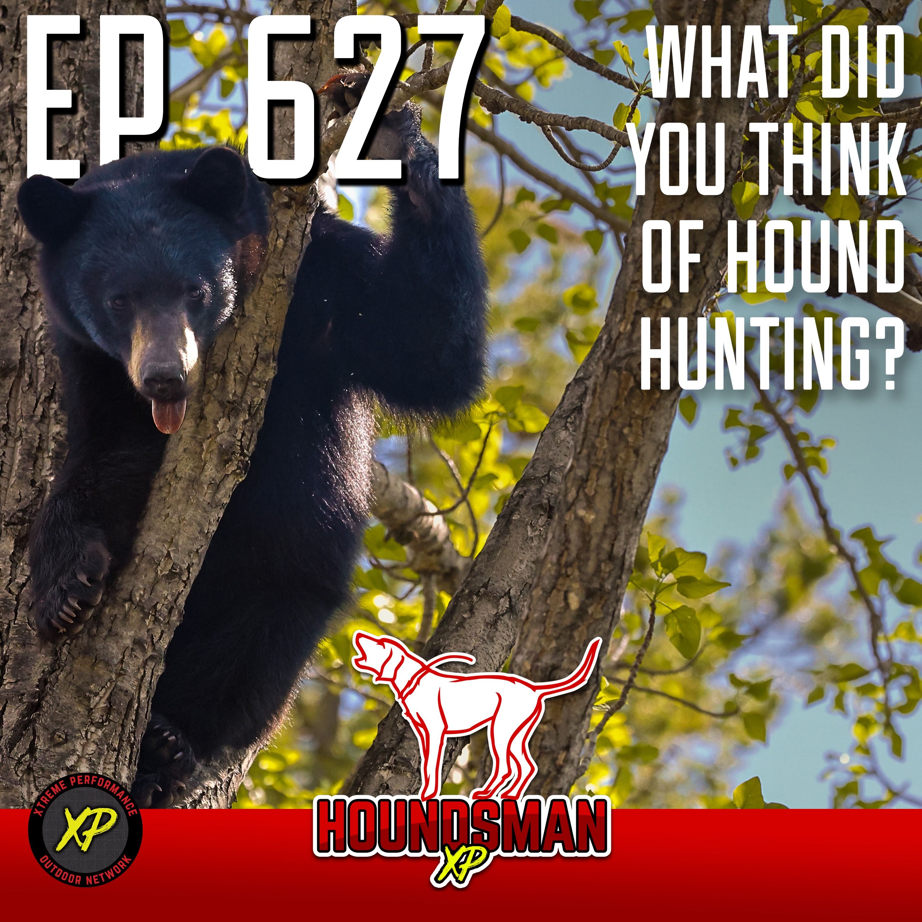 What Did You Think of Hound Hunting?!