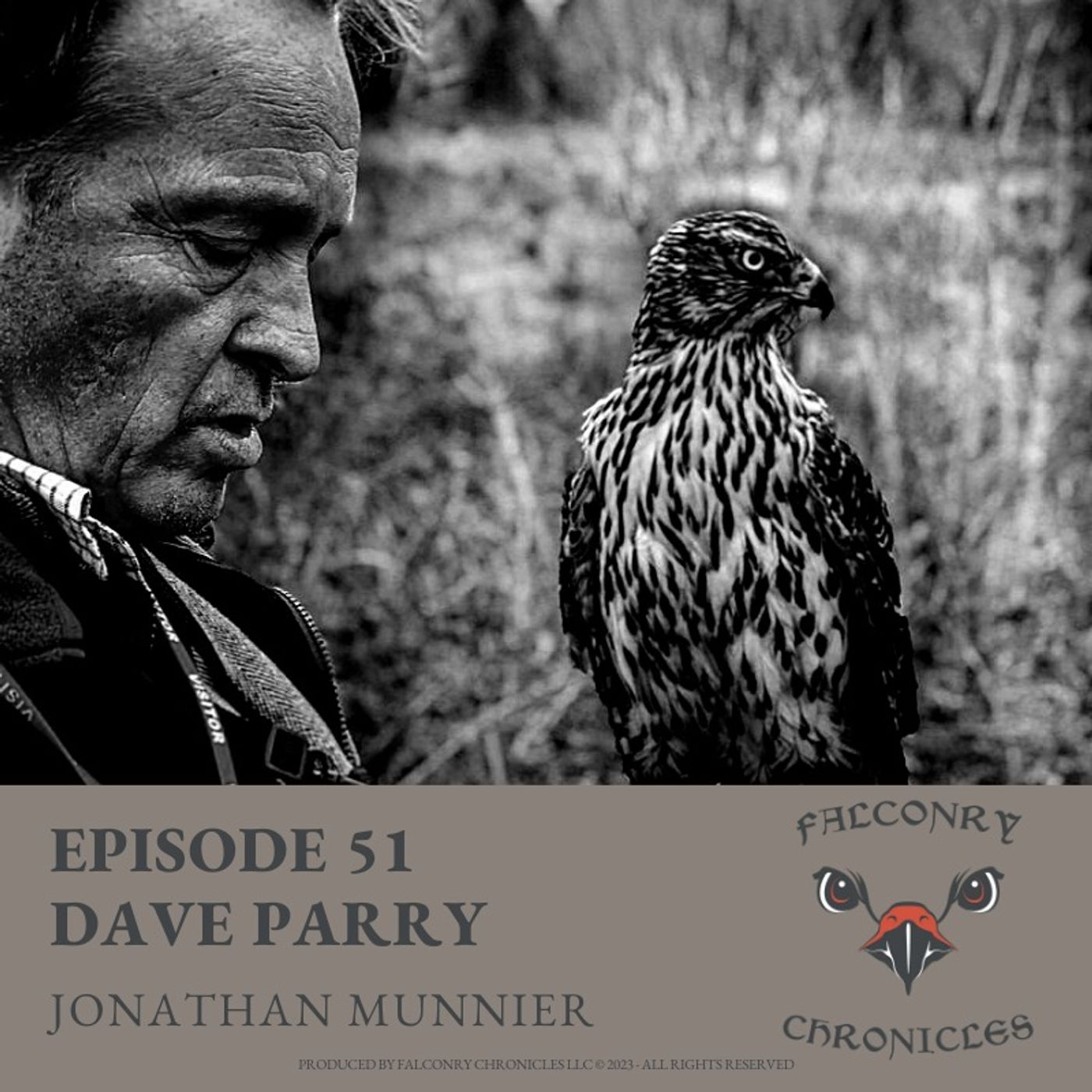 Falconry Chronicles Podcast