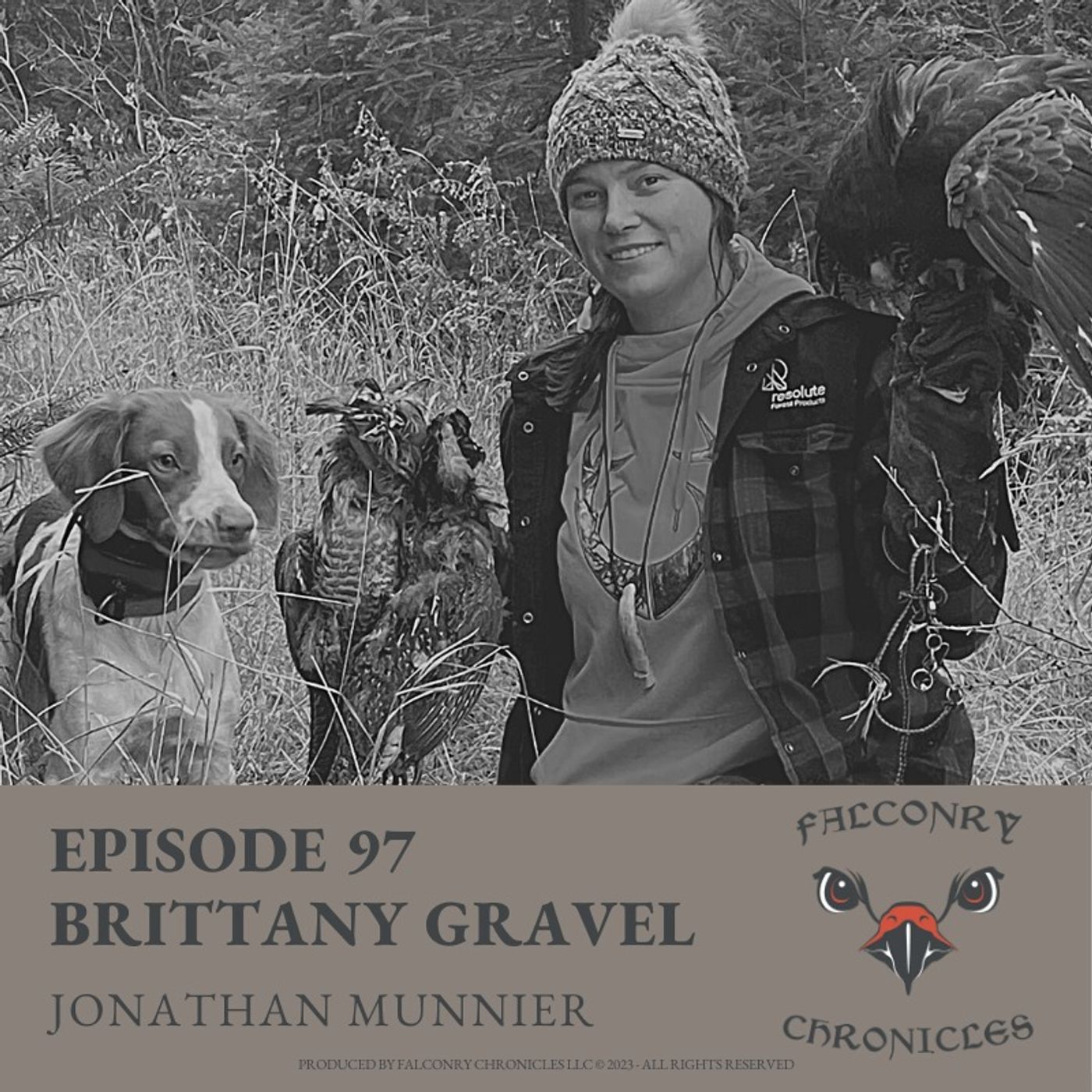 Falconry Chronicles Podcast