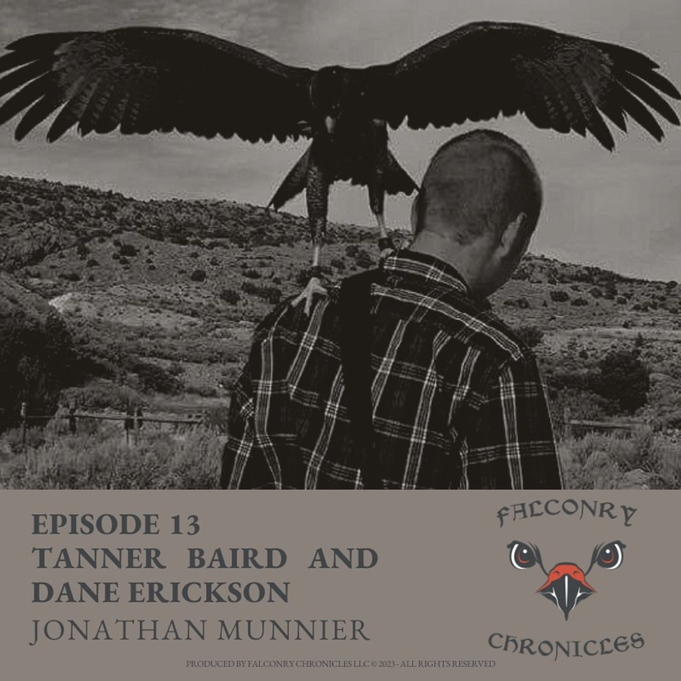 Falconry Chronicles Podcast