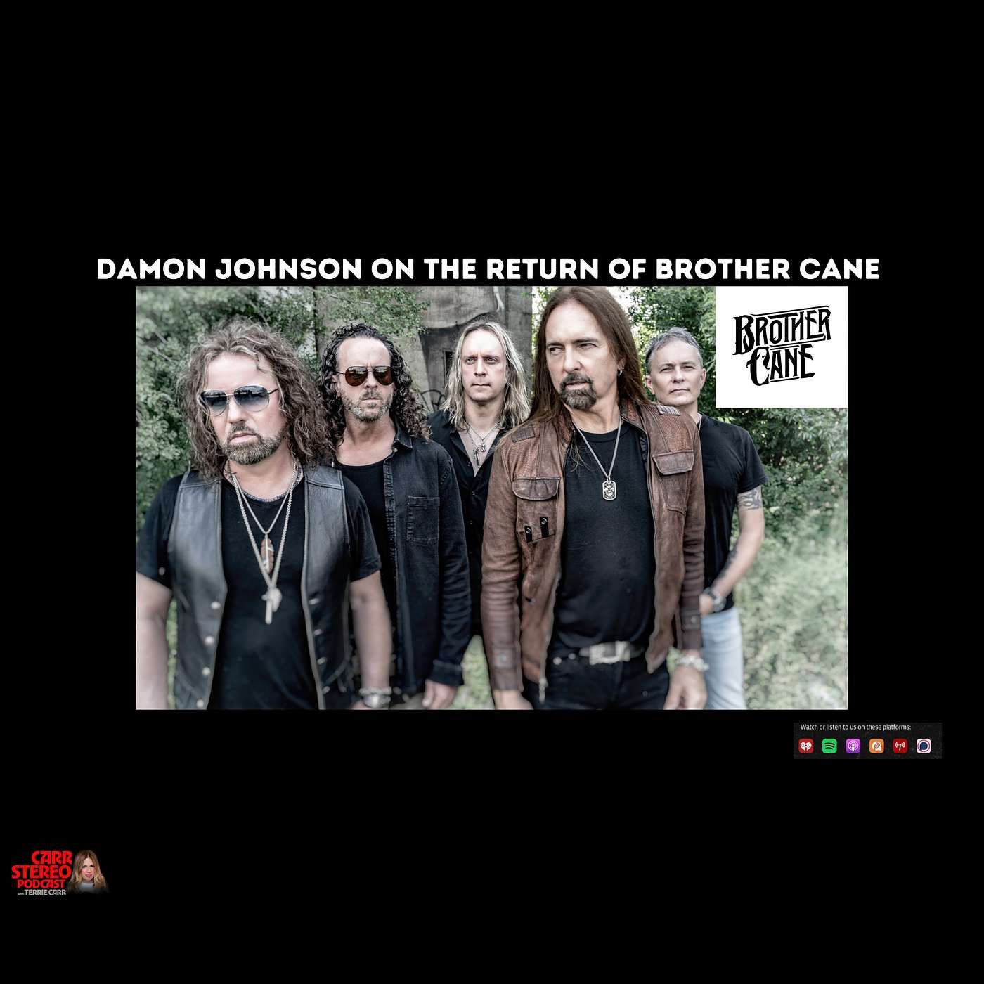 Damon Johnson on The Return of Brother Cane episode artwork
