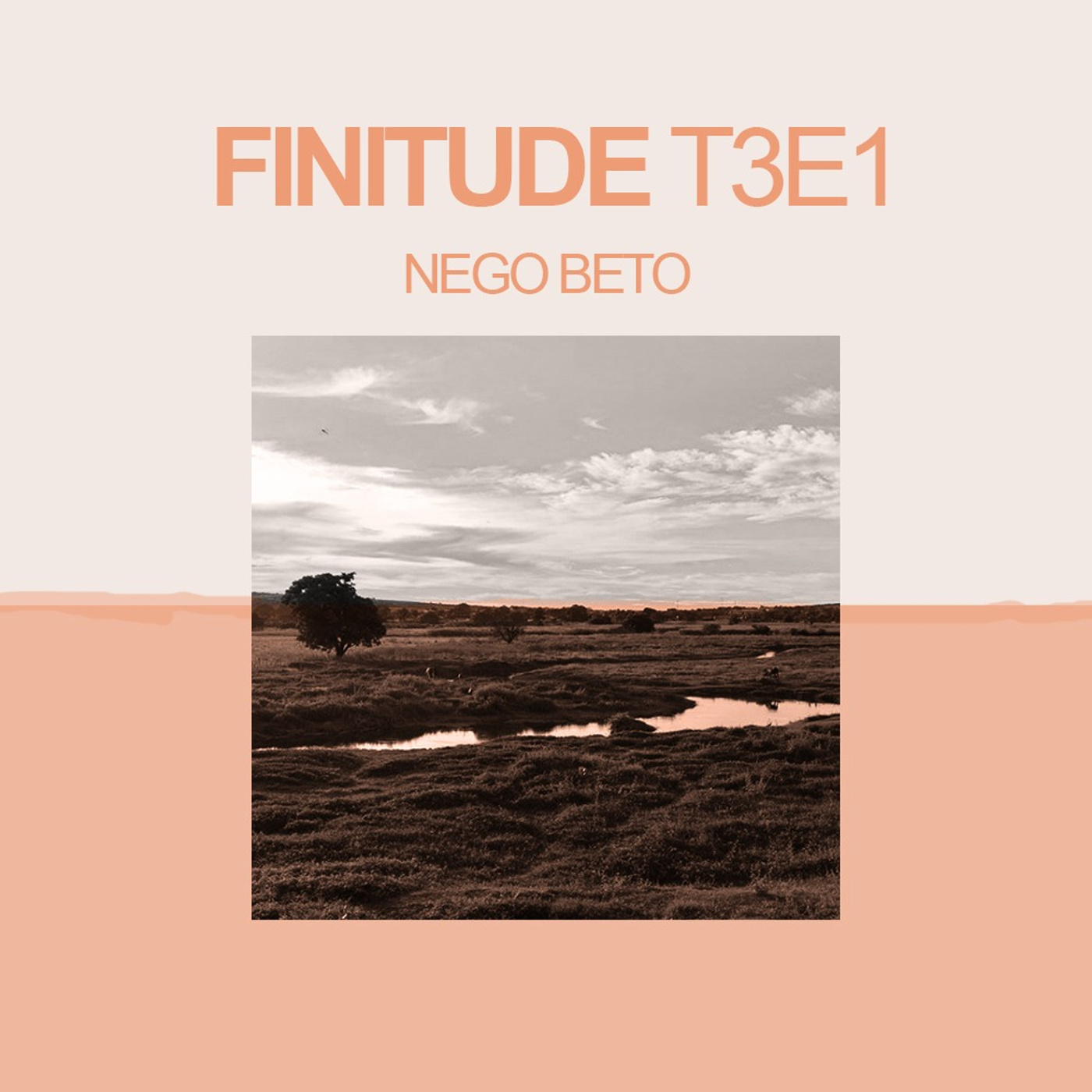 Finitude