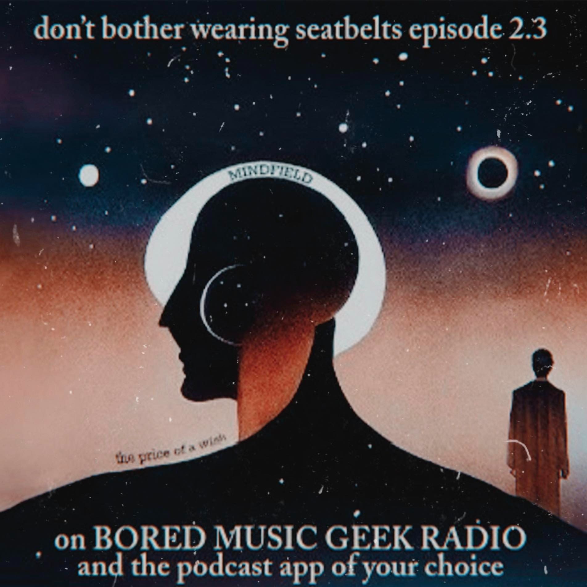 Don\'t Bother Wearing Seatbelts (An Elephant 6 Recording Company Podcast)