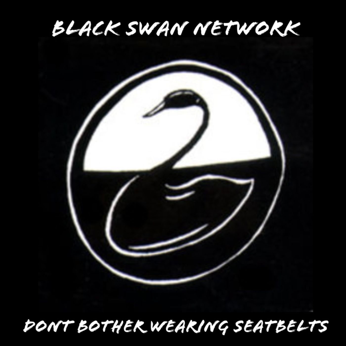 DBWS 2 episode 18- Black Swan Network with Ron Kwasman episode artwork