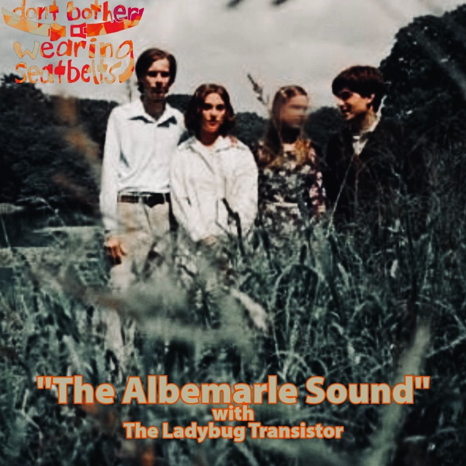 DBWS 2-11 “The Albemarle Sound” with The Ladybug Transistor episode artwork