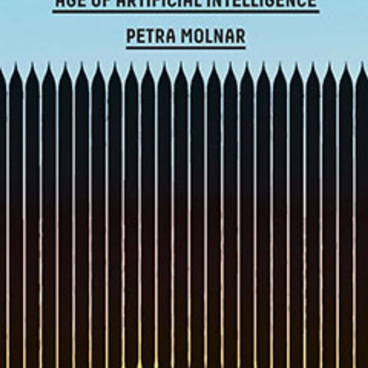 Conversation with Petra Molnar: The Walls Have Eyes Conversation with Petra Molnar: The Walls Have Eyes