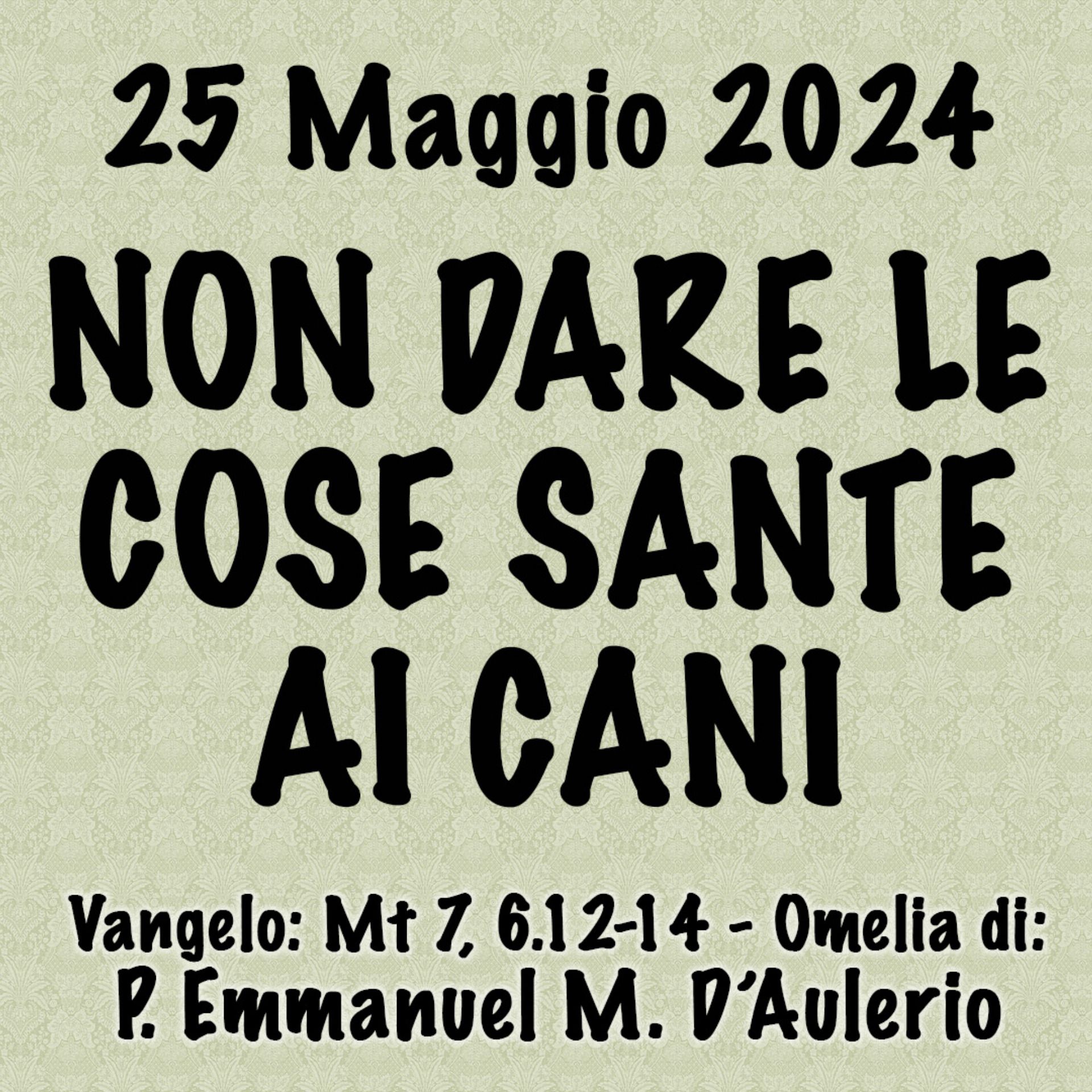 Omelia 25 Giugno 2024, NON DARE LE COSE SANTE AI CANI episode artwork